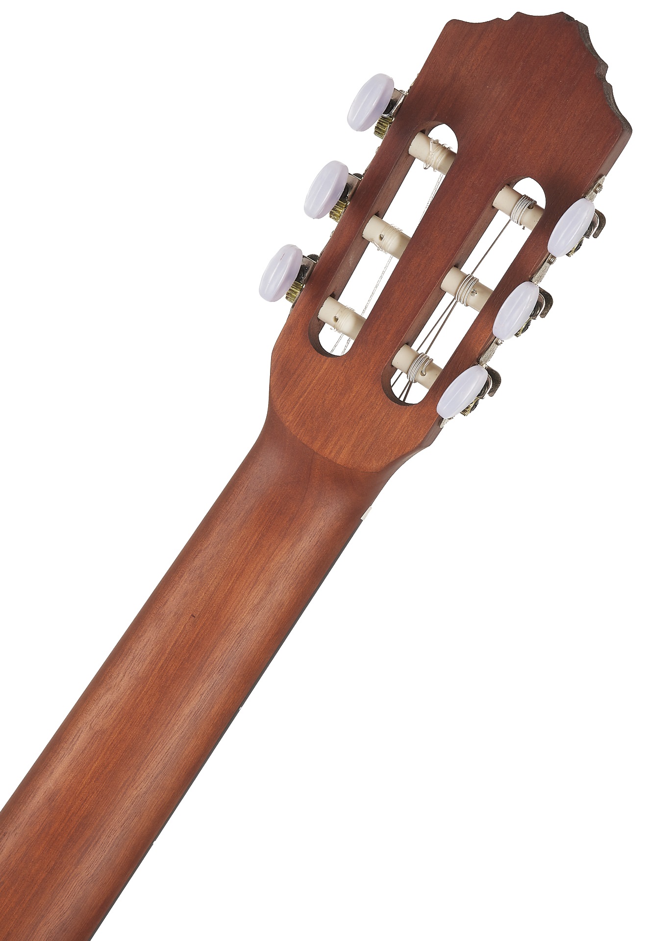 Ortega R55 (obrázek 5)