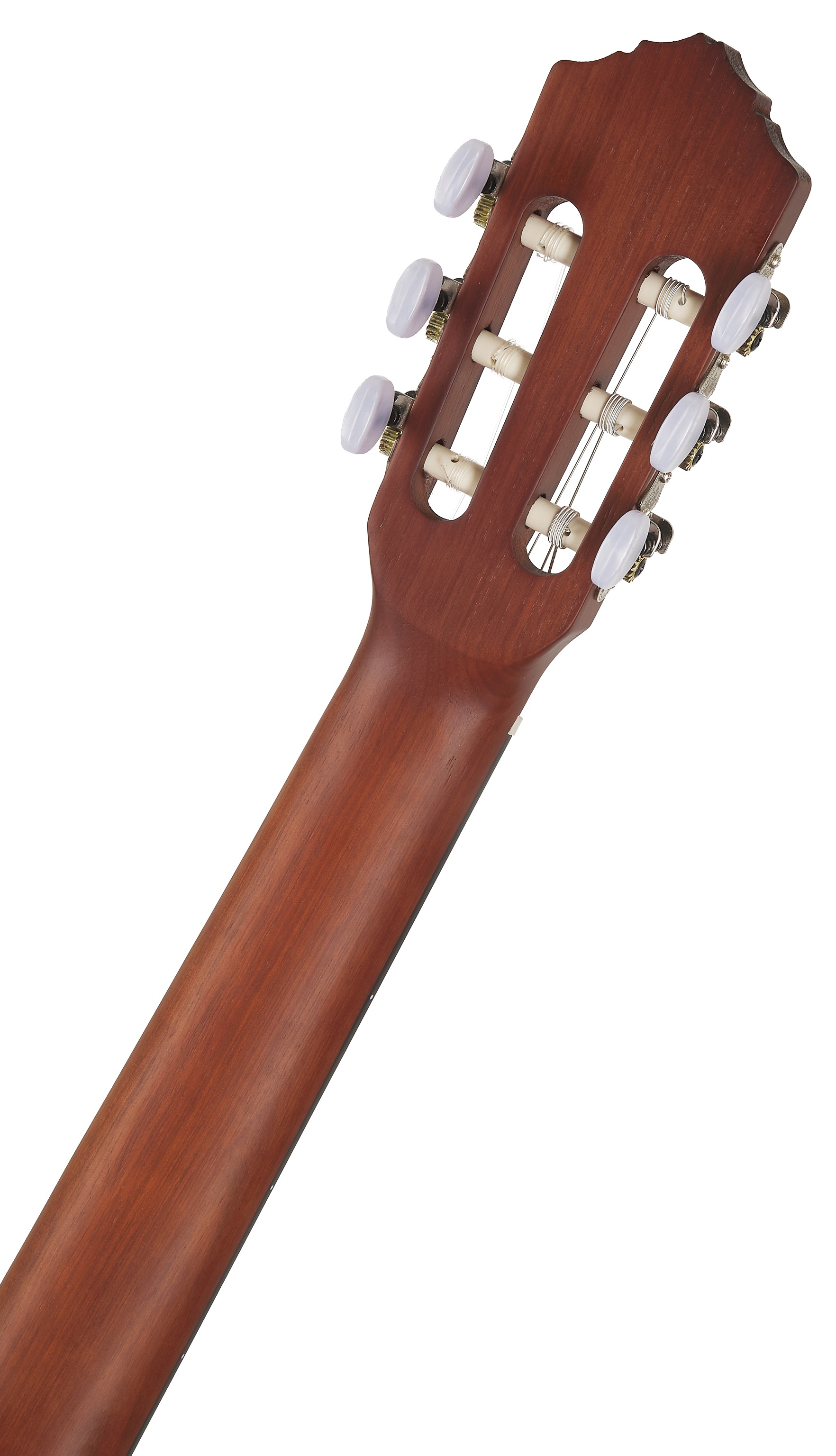 Ortega R55BFT (obrázek 5)