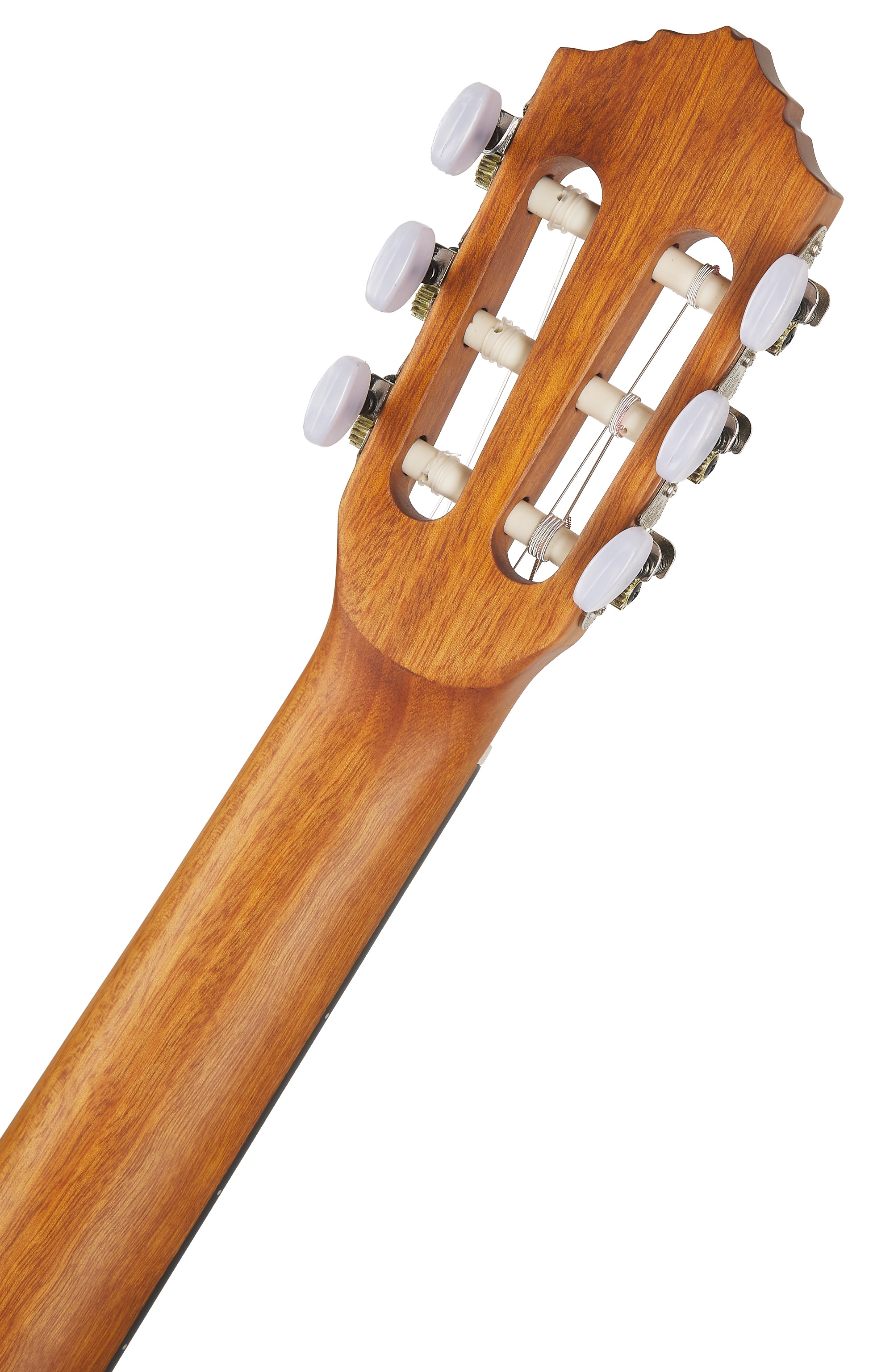 Ortega RQ25 (obrázek 5)