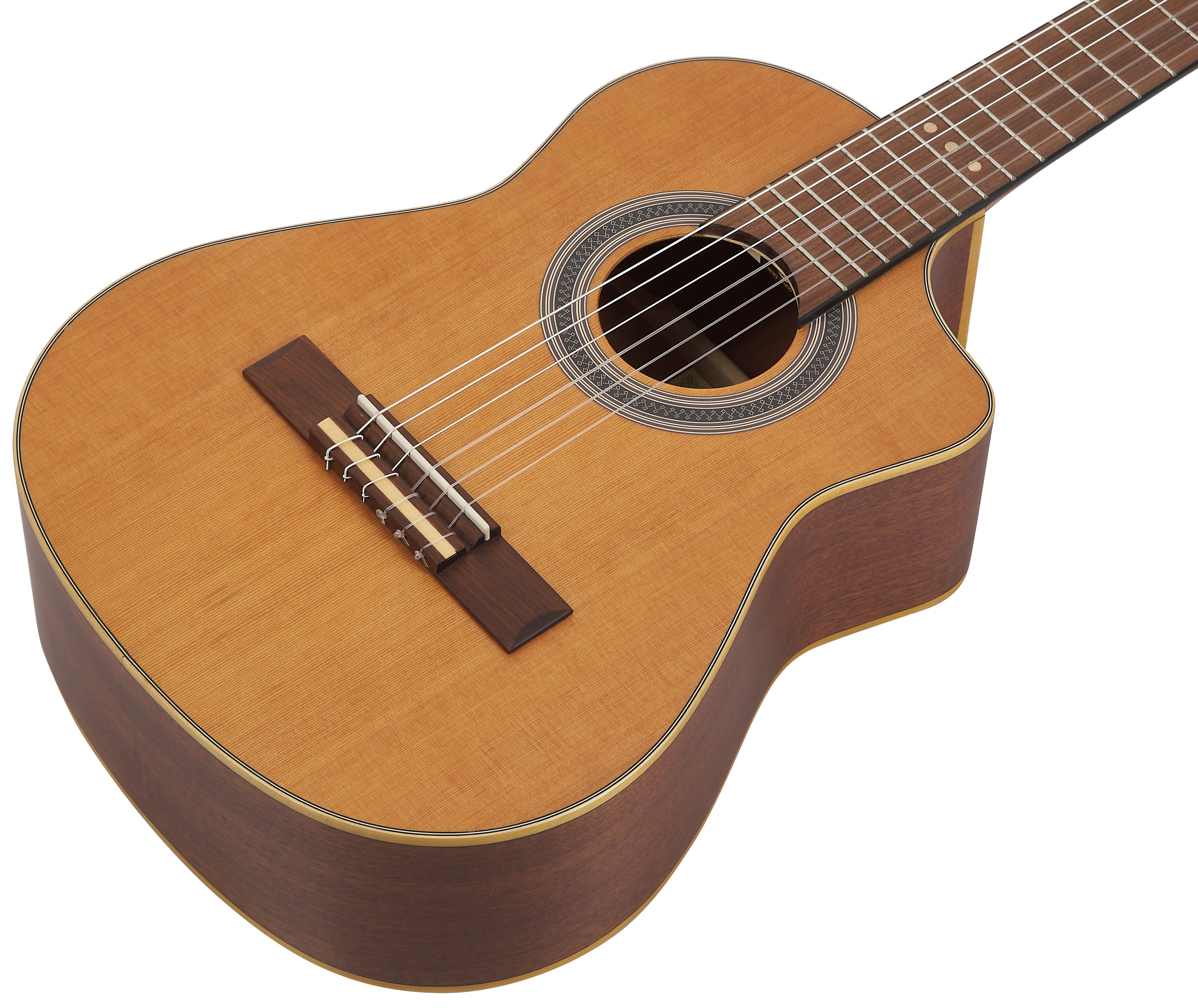 Ortega RQC25 (obrázek 3)