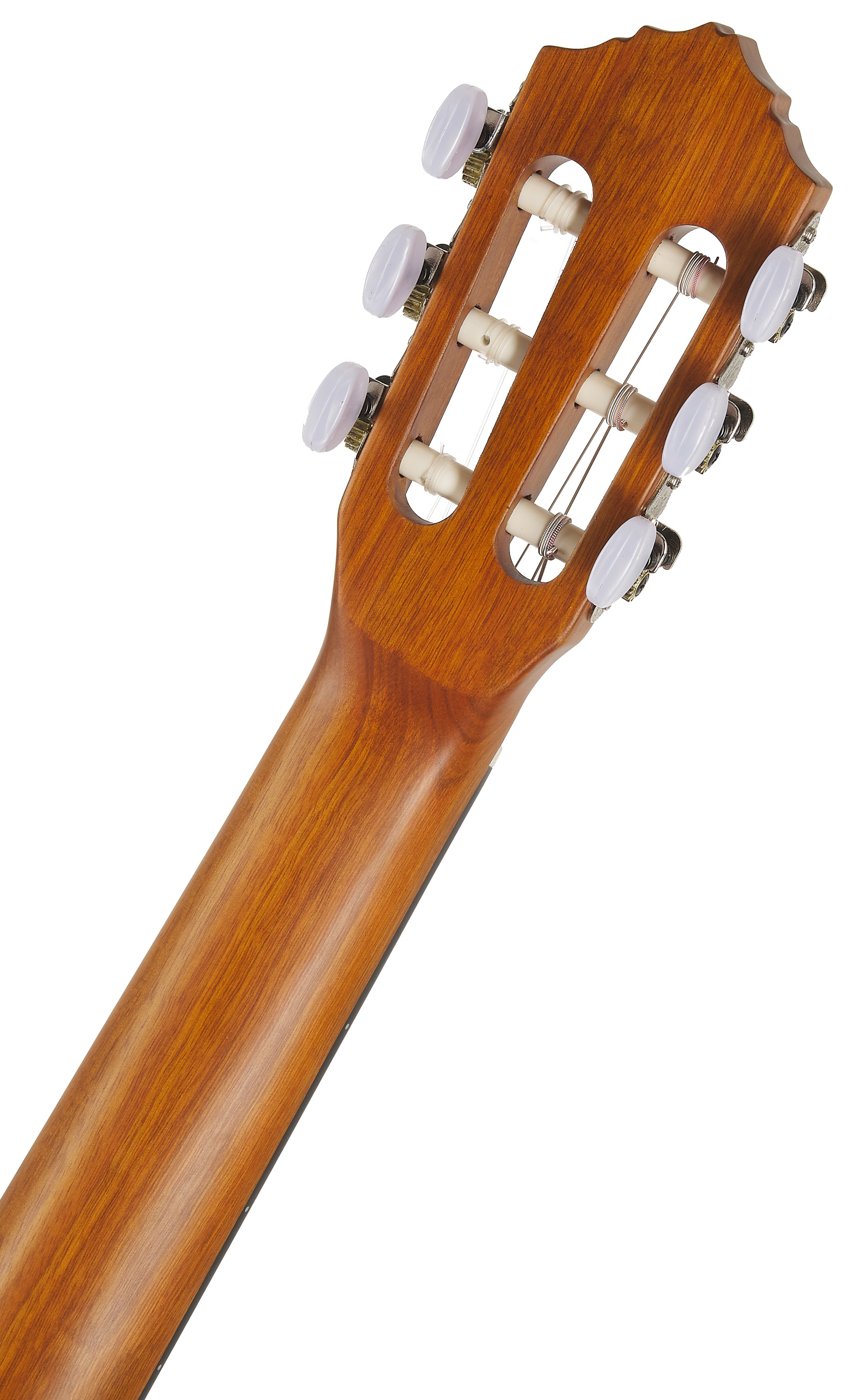 Ortega RQ38 (obrázek 5)