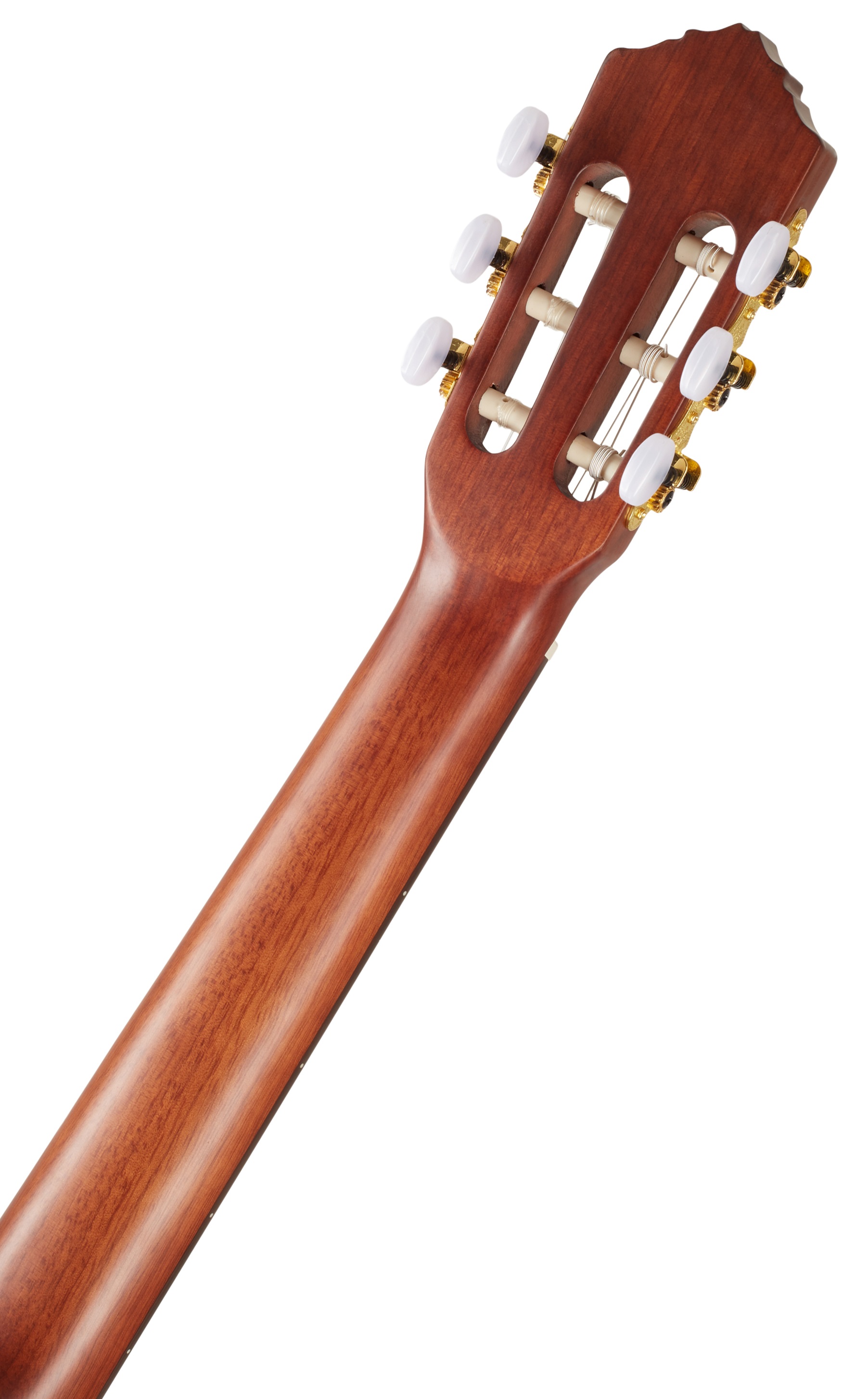 Ortega R55DLX-BFT (obrázek 5)