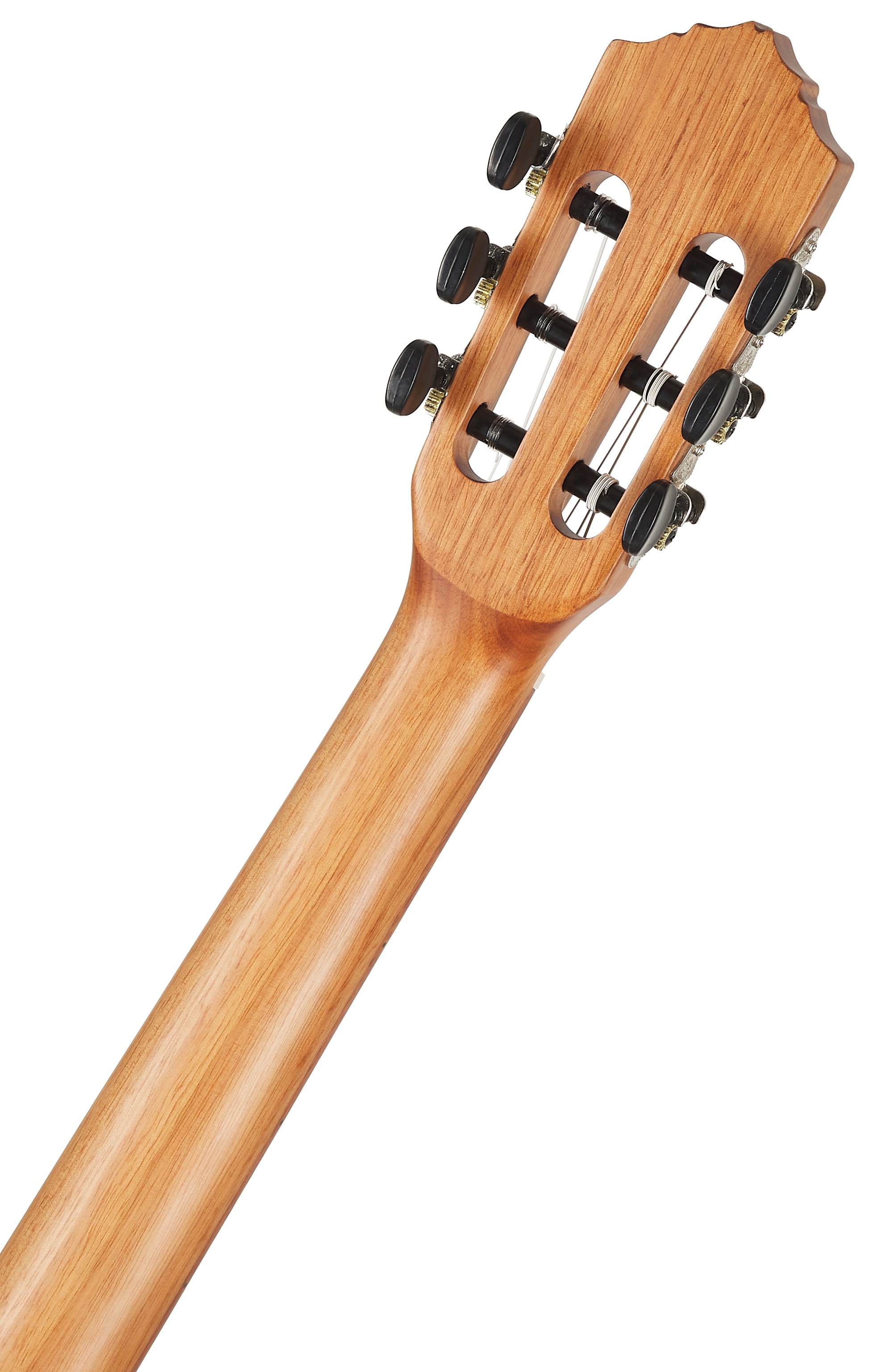 Ortega RSM-REISSUE (použité) (obrázek 5)