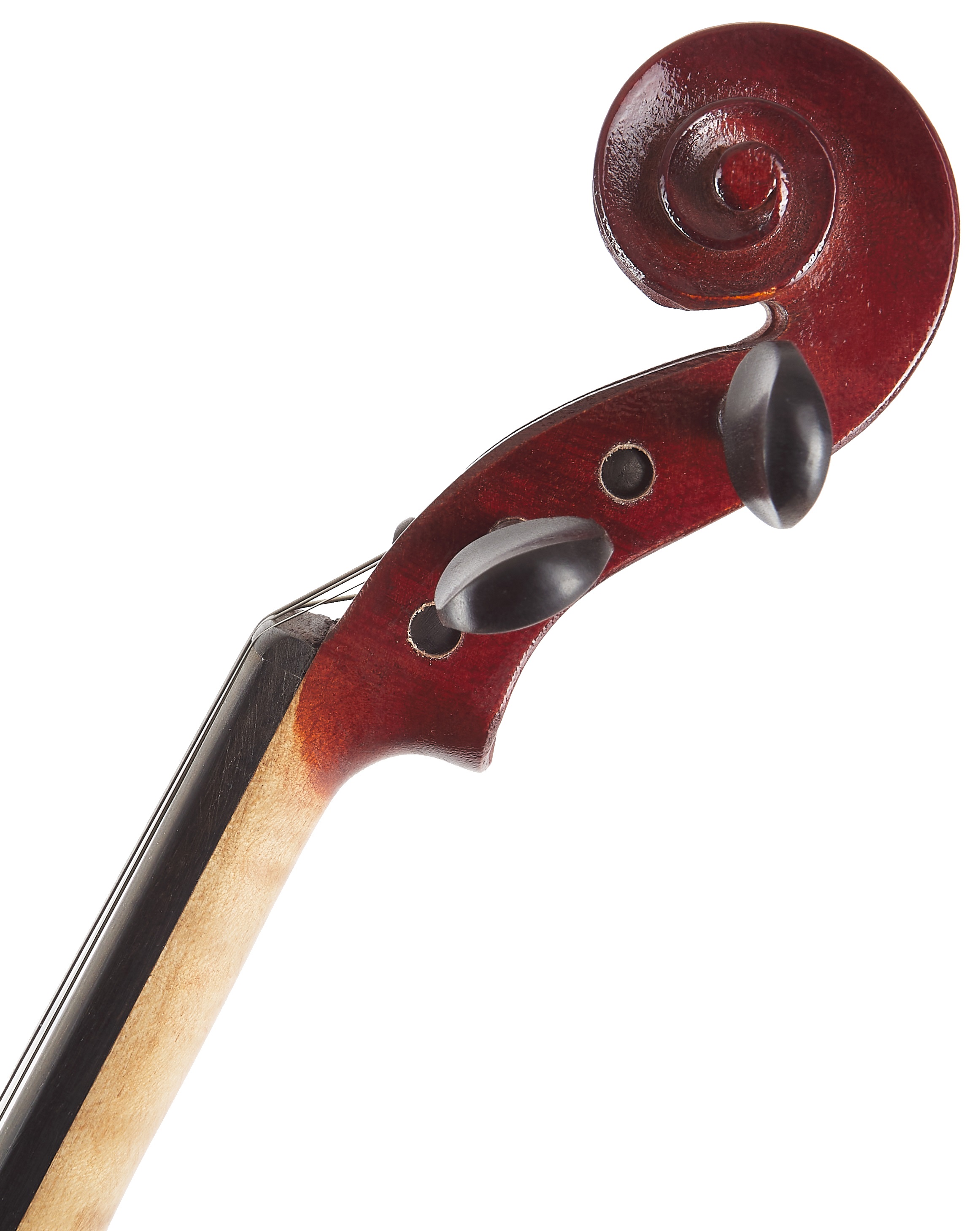 Gewa PS401.614 (obrázek 5)