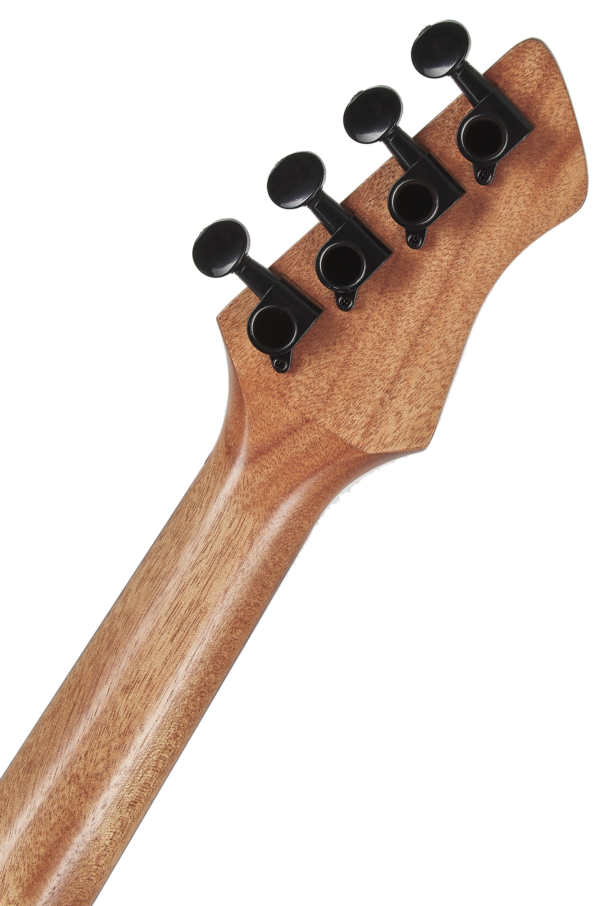 Ortega RUHZ-CE-MM (obrázek 6)