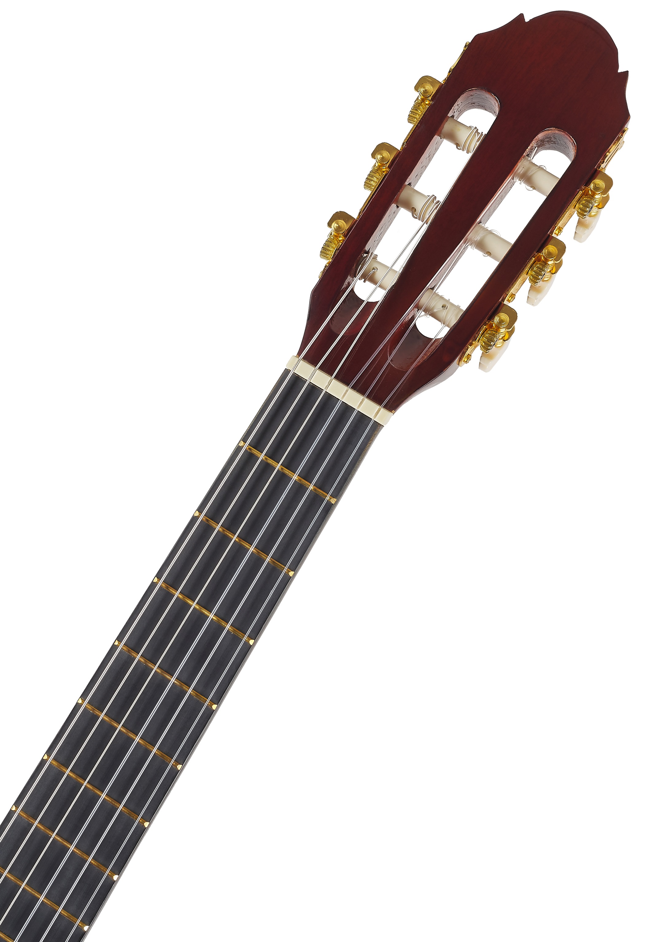 Toledo Primera Student 34 NT (obrázek 4)