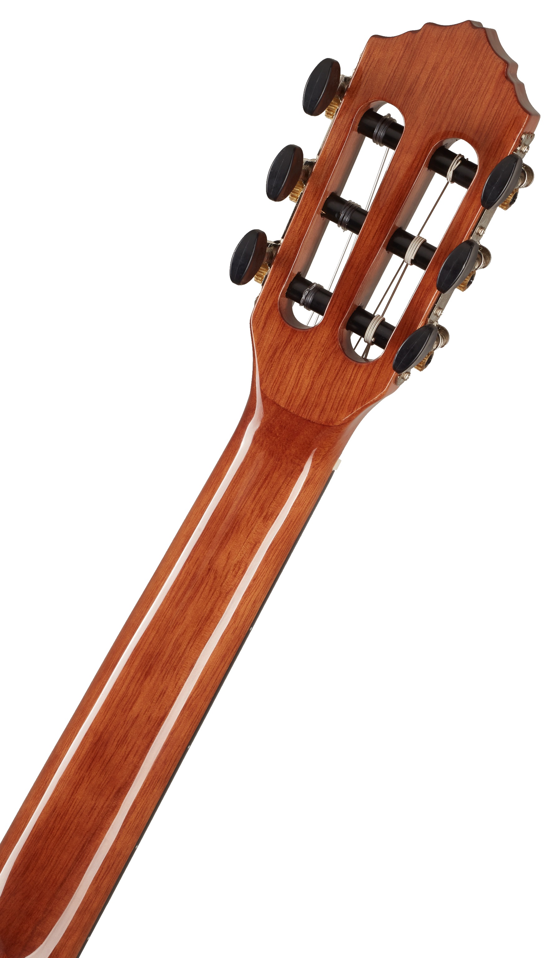 Ortega RST5-1/2 (obrázek 5)