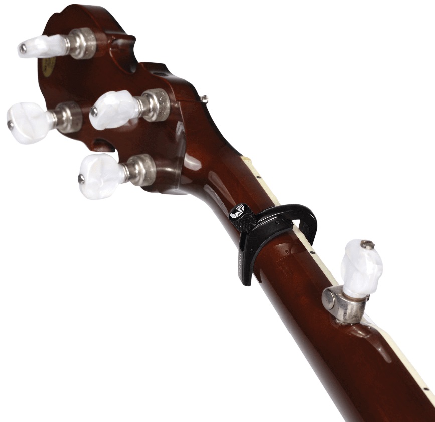 D'Addario PW-CP-11 (obrázek 4)