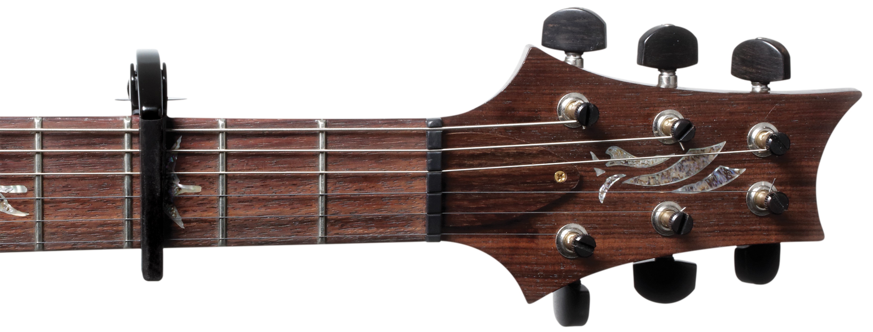 D'Addario PW-CP-09 (obrázek 3)