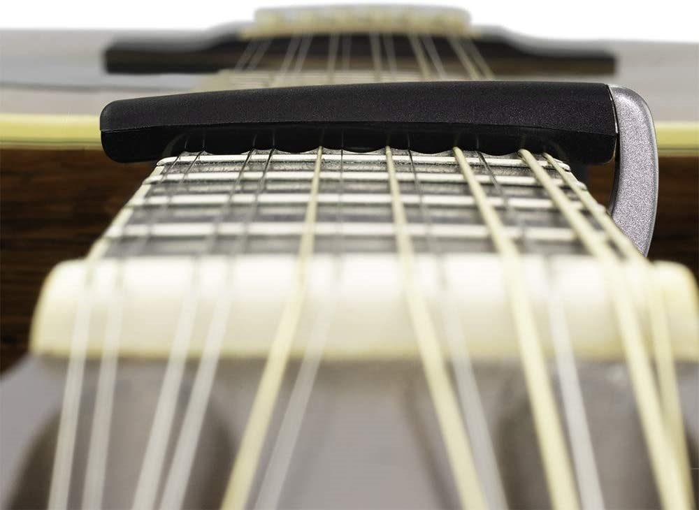 D'Addario PW-CP-19S (obrázek 6)