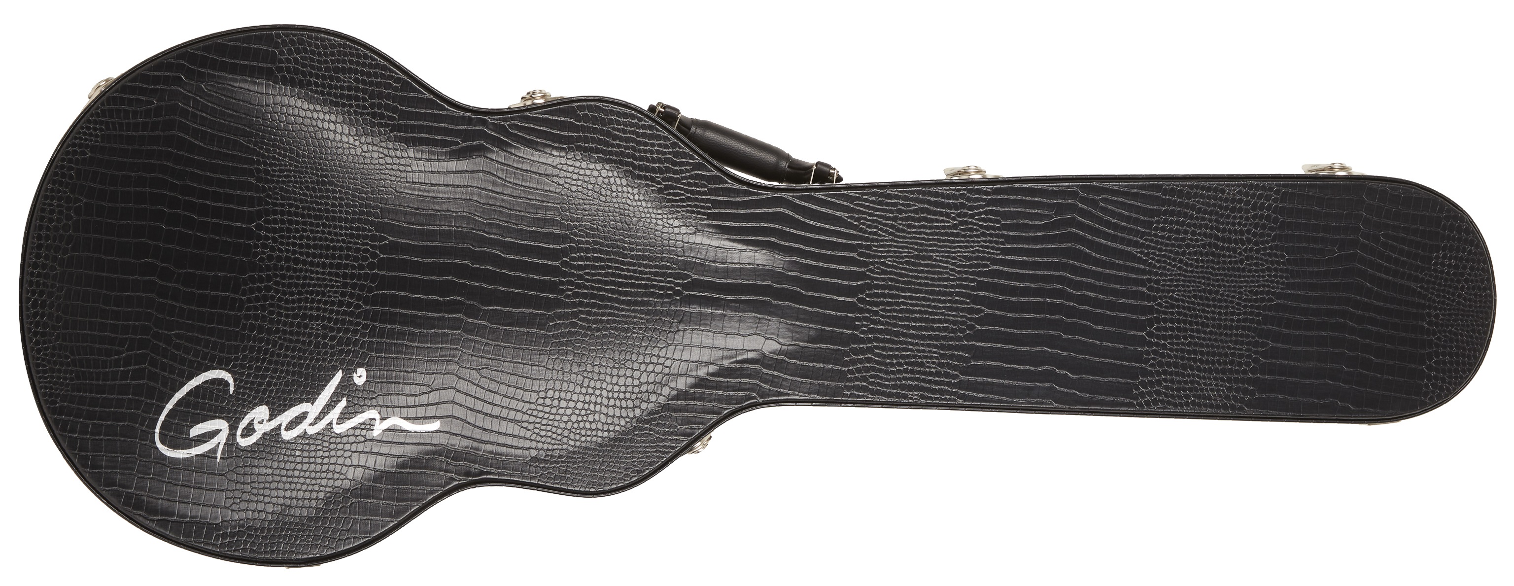 Levně Godin Case Summit/Core