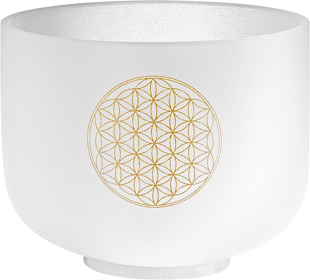 Meinl Sonic Energy CSB8FOL