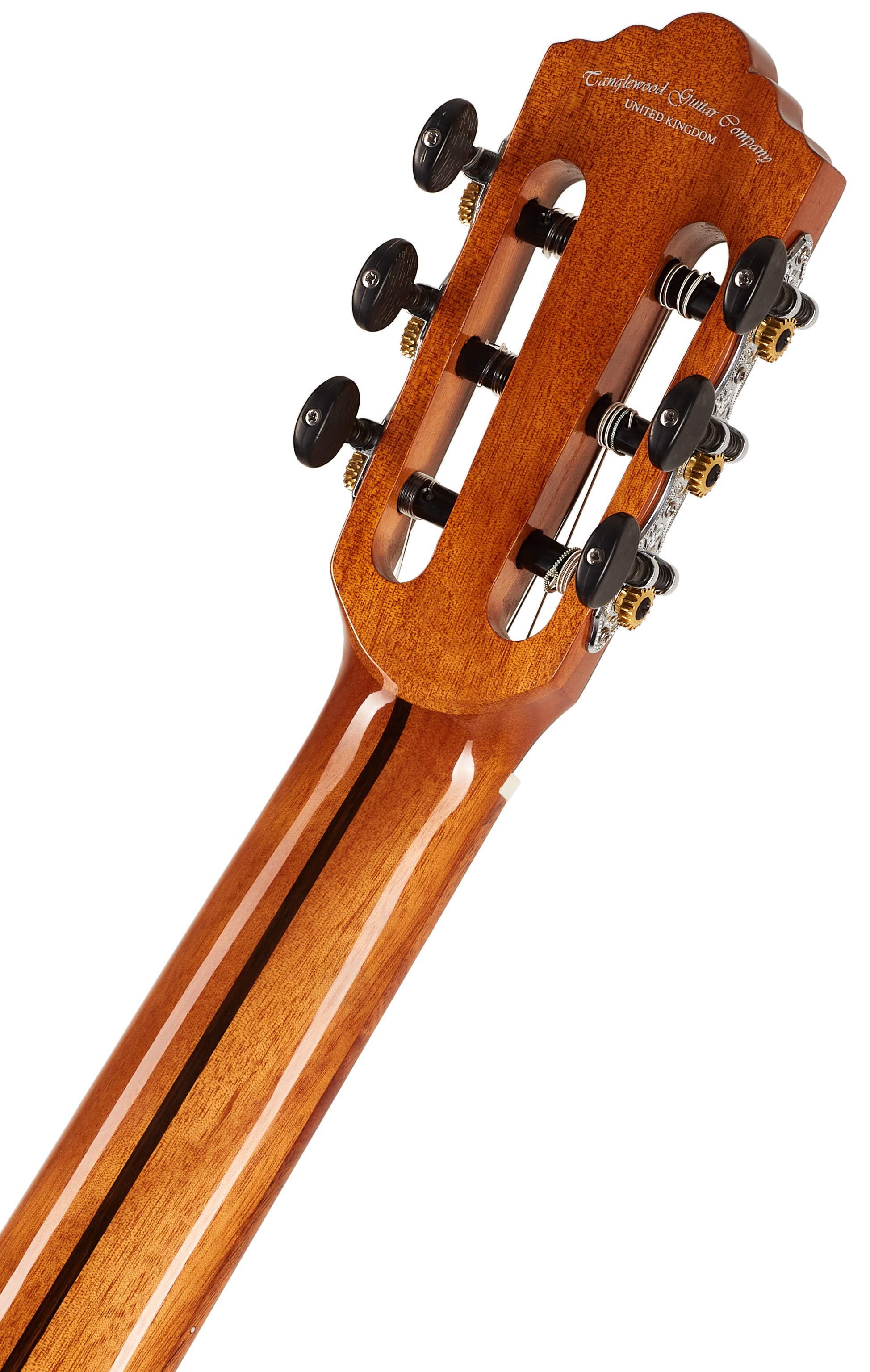 Tanglewood EM DC 5 (obrázek 6)