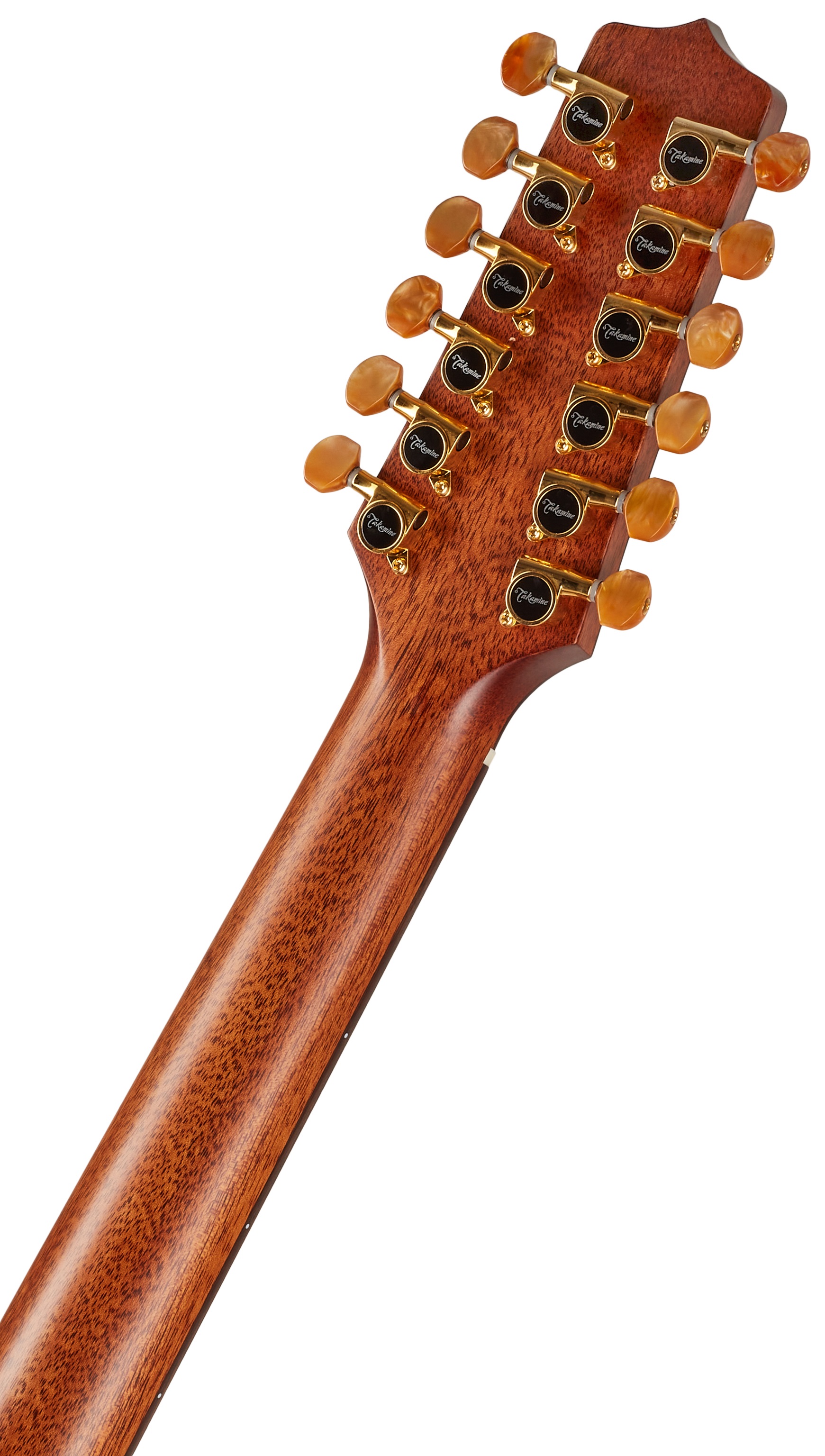 Takamine P3DC-12 (obrázek 6)