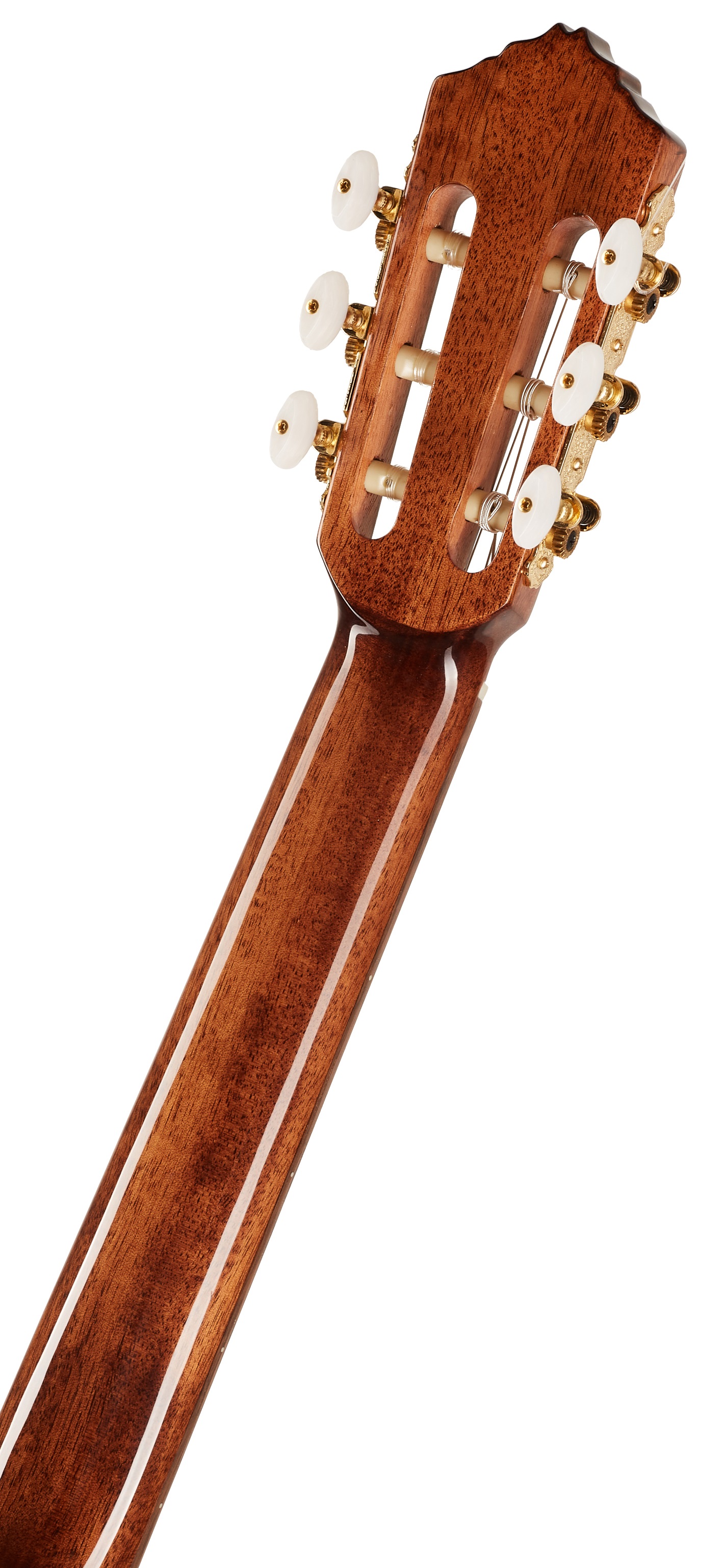 Ortega RCE158MN (obrázek 6)