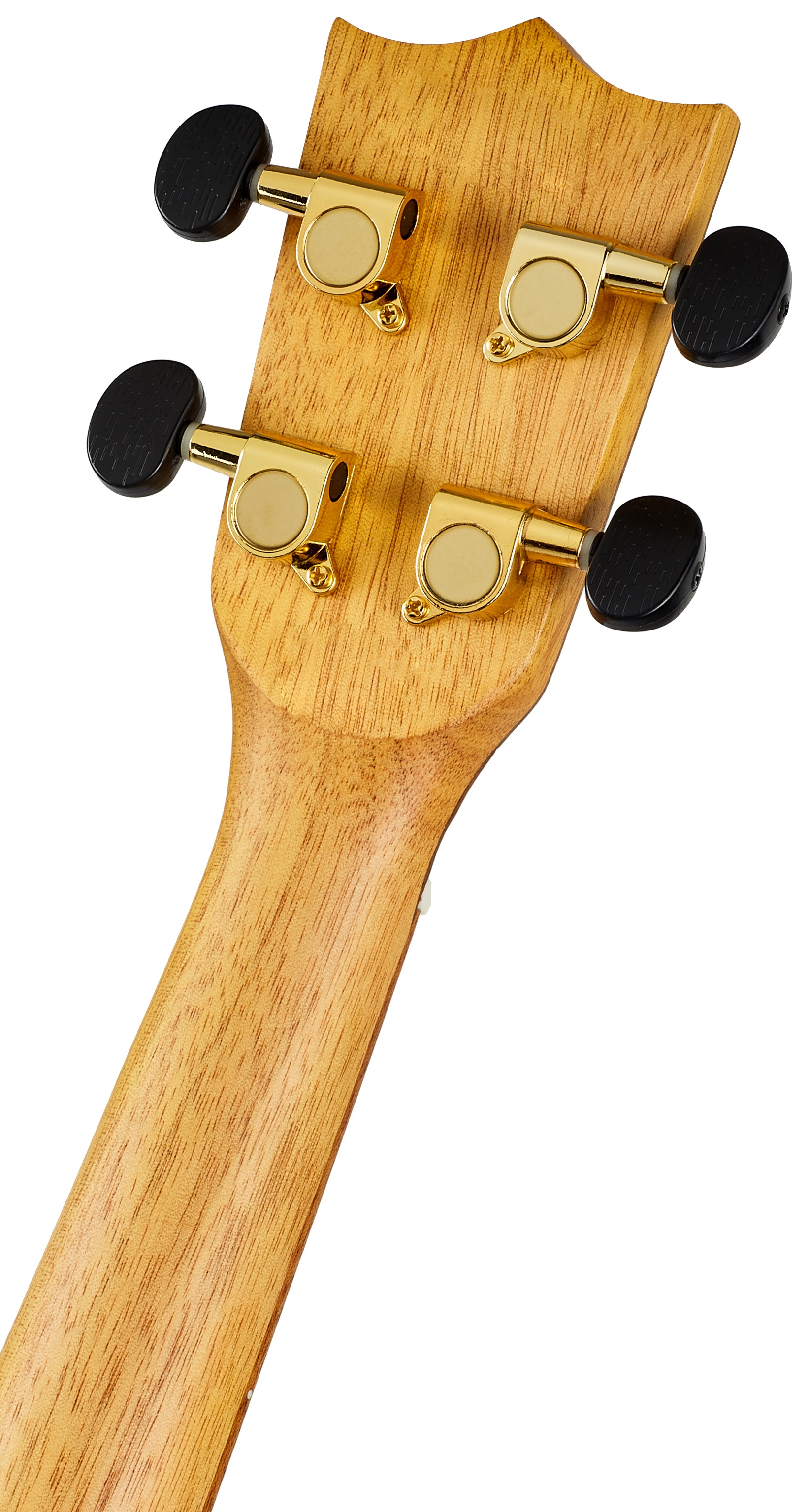 Flight DUS 440 Acacia (obrázek 5)