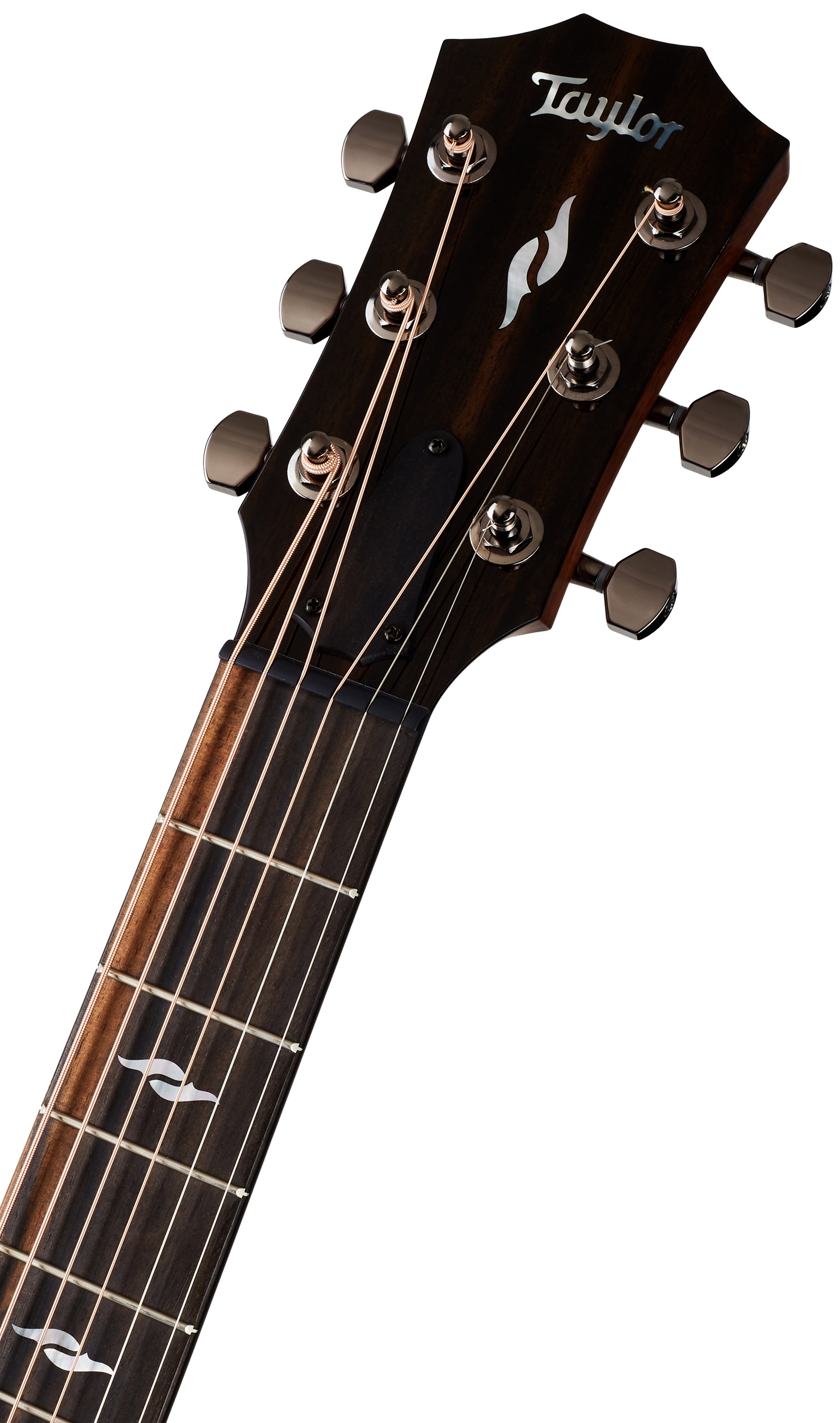 Taylor GT 811e (rozbalené) (obrázek 5)