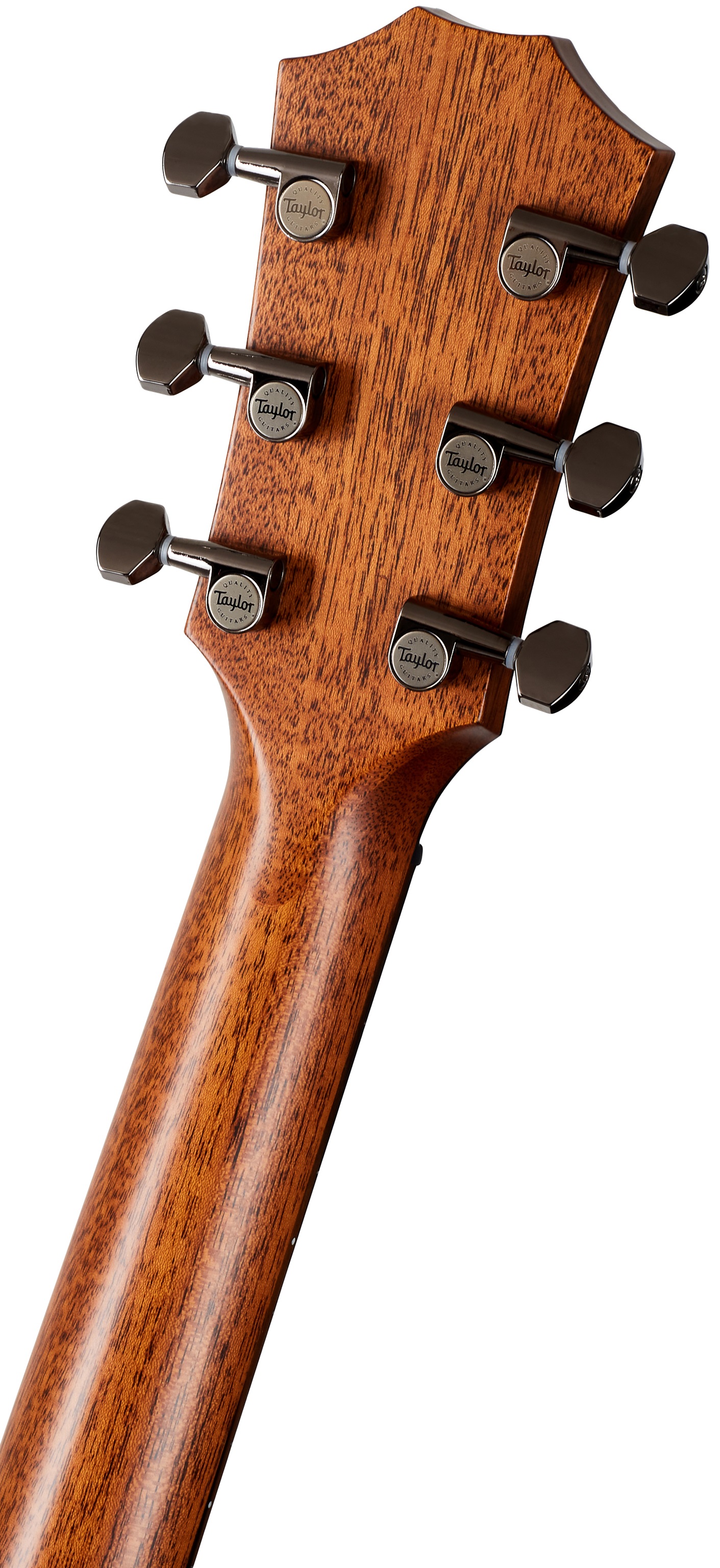 Taylor GT 811e (rozbalené) (obrázek 6)