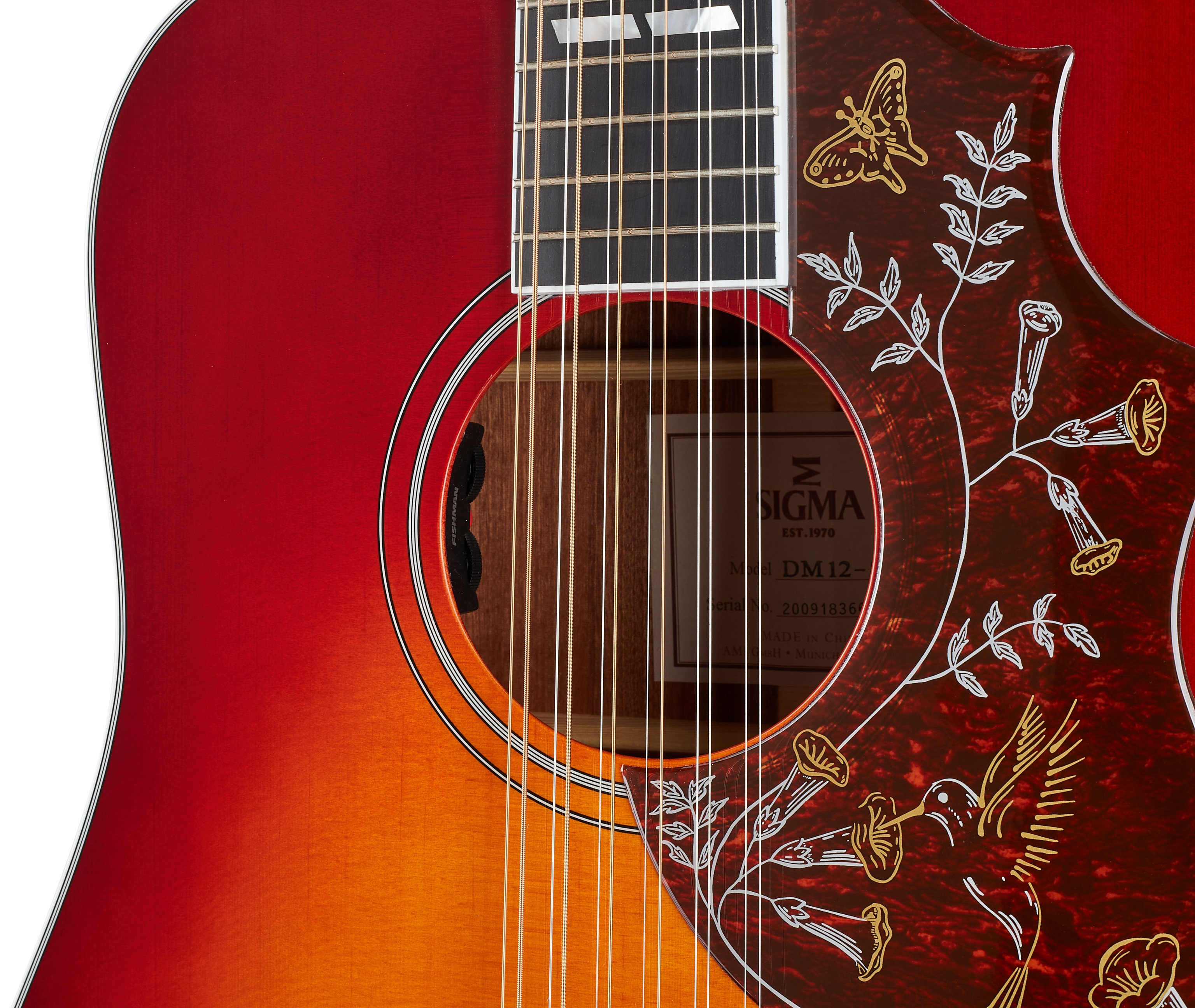 Sigma Guitars DM12-SG5 (obrázek 4)