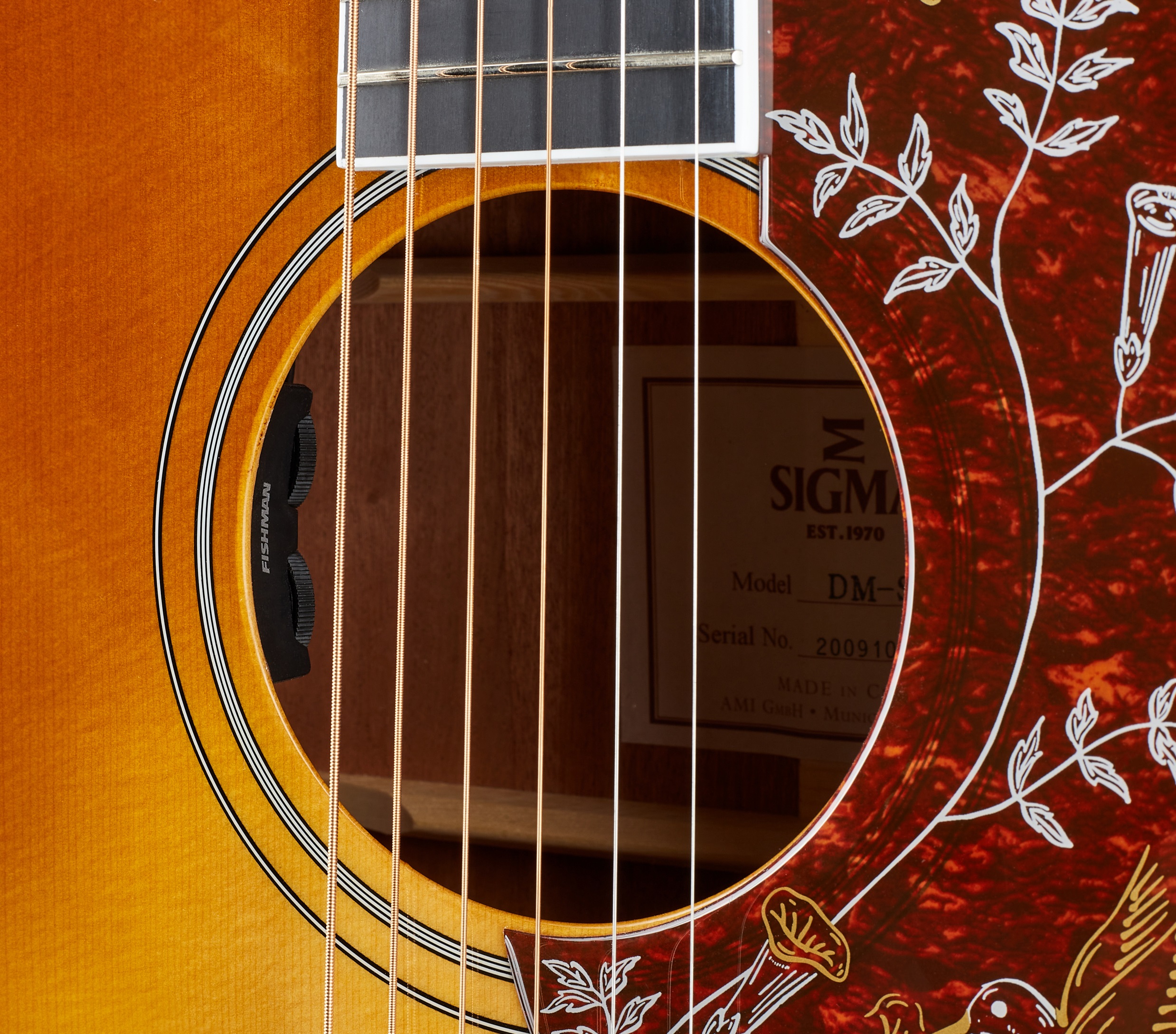 Sigma Guitars DM-SG5 (obrázek 4)