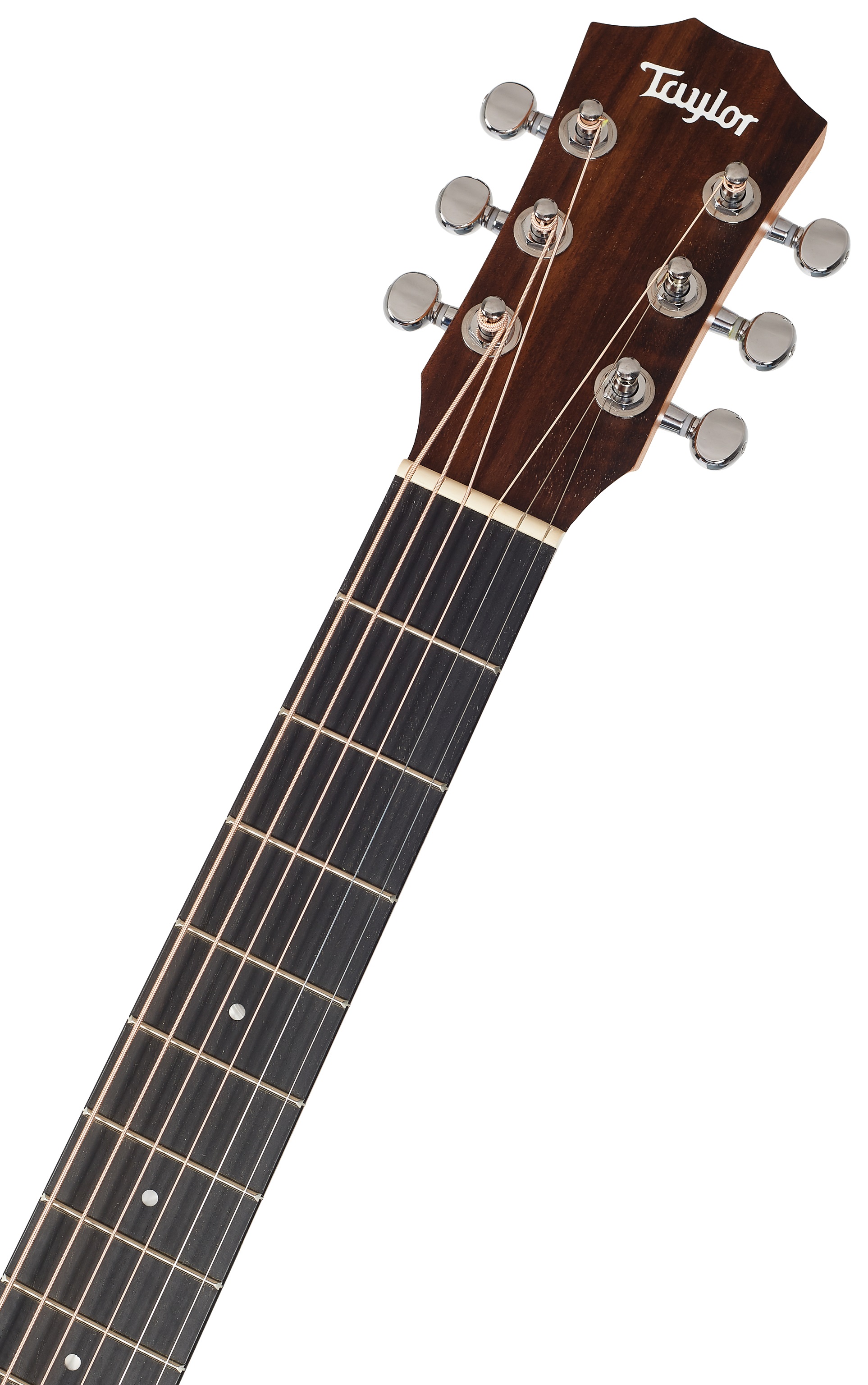 Taylor TS-BTe (obrázek 5)