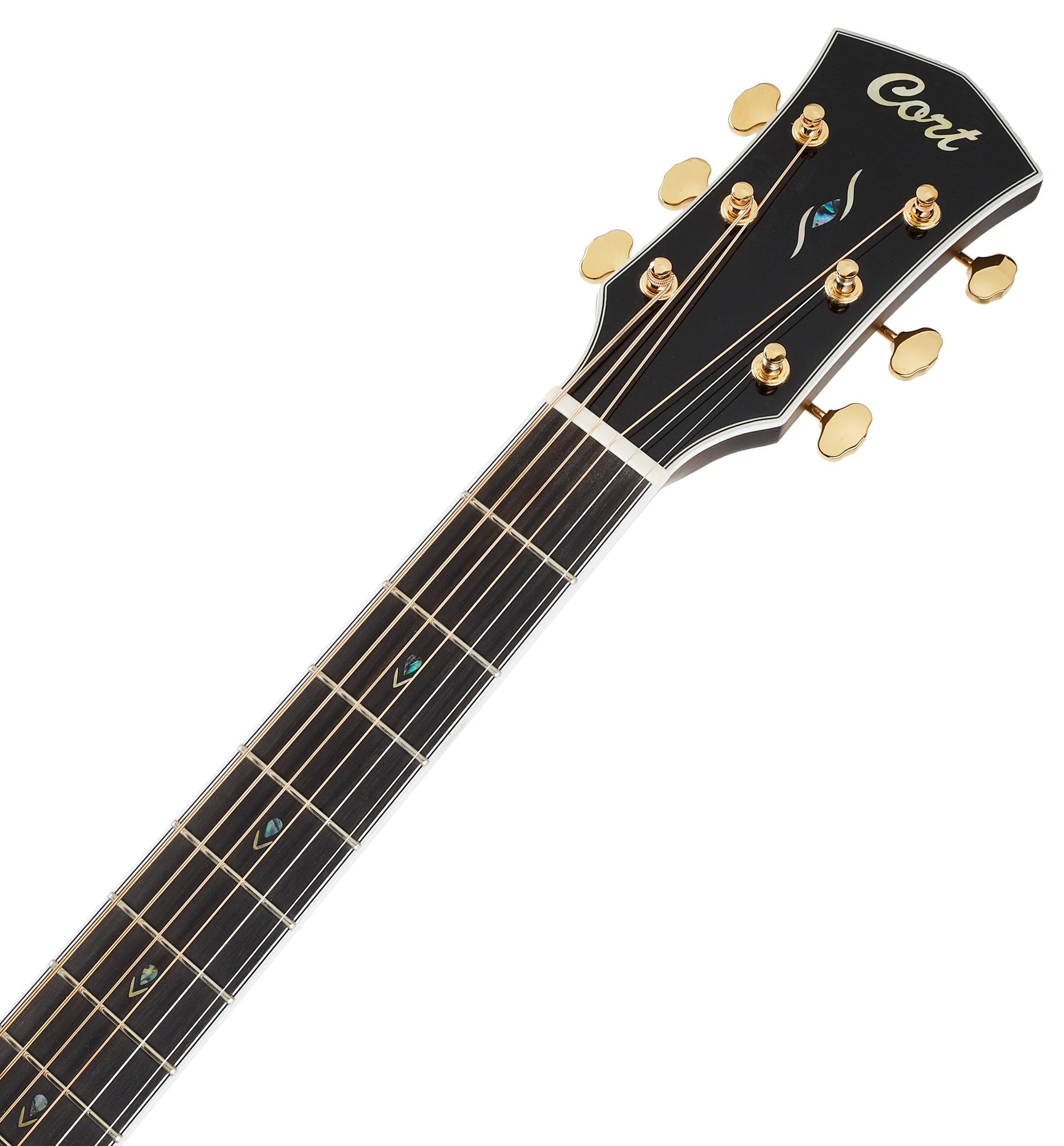 Cort Gold-OC8 NAT (obrázek 5)