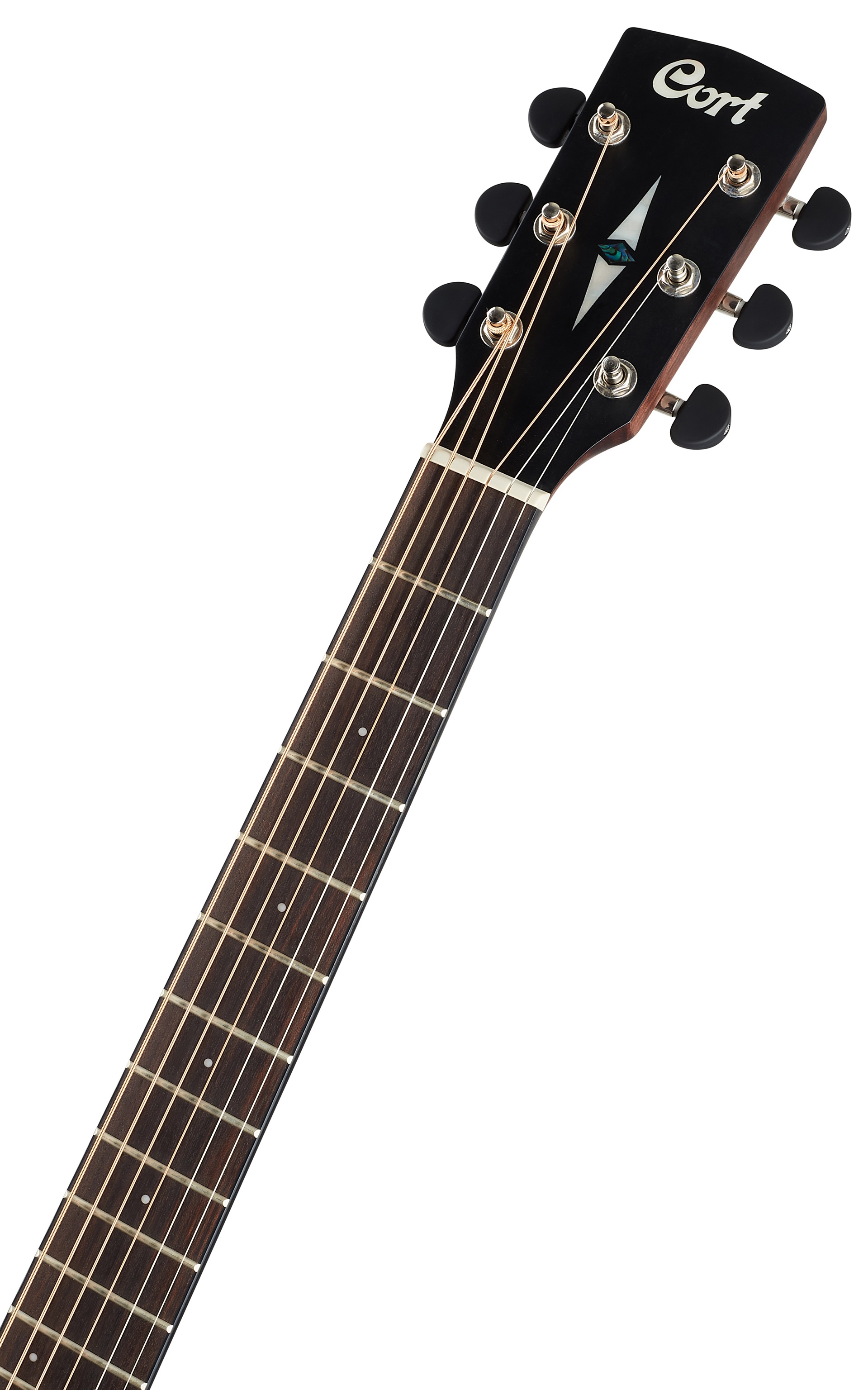 Cort SFX-E 3TS (obrázek 5)