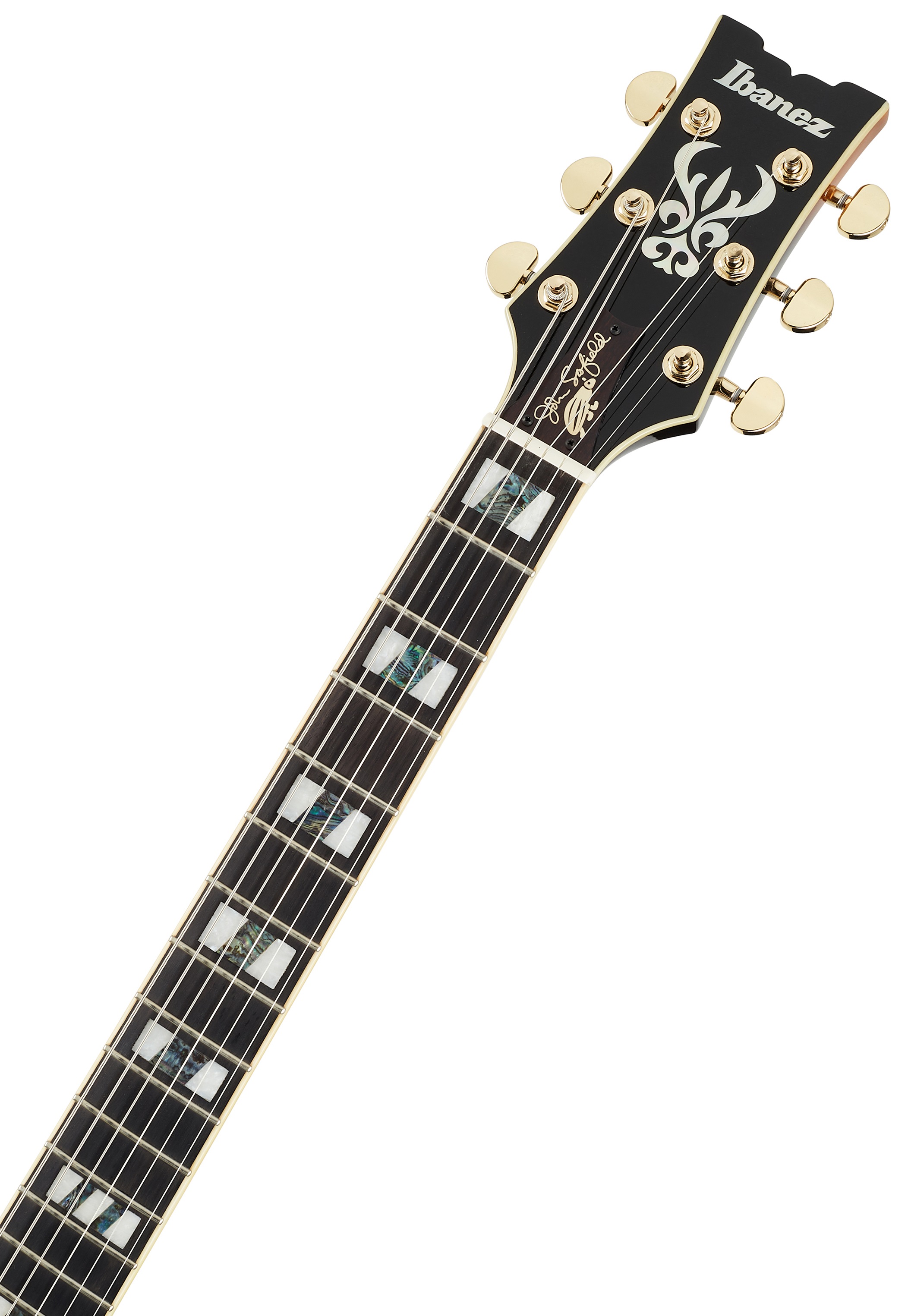 Ibanez JSM10 Vintage Yellow Sunburst (obrázek 4)