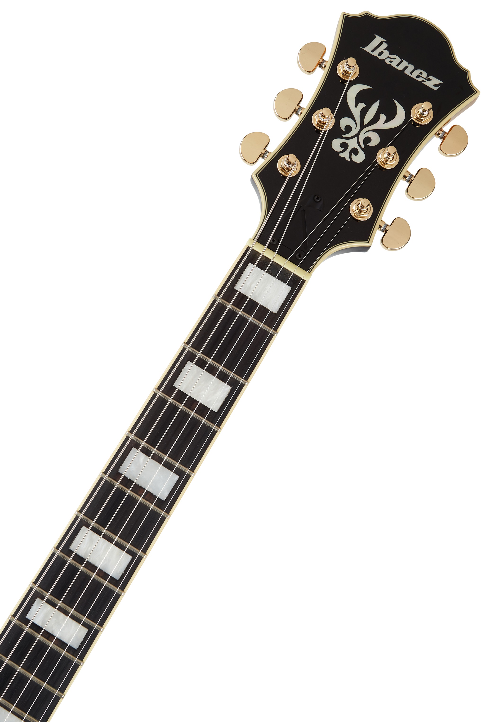 Ibanez AF95FM Antique Yellow Burst (obrázek 4)