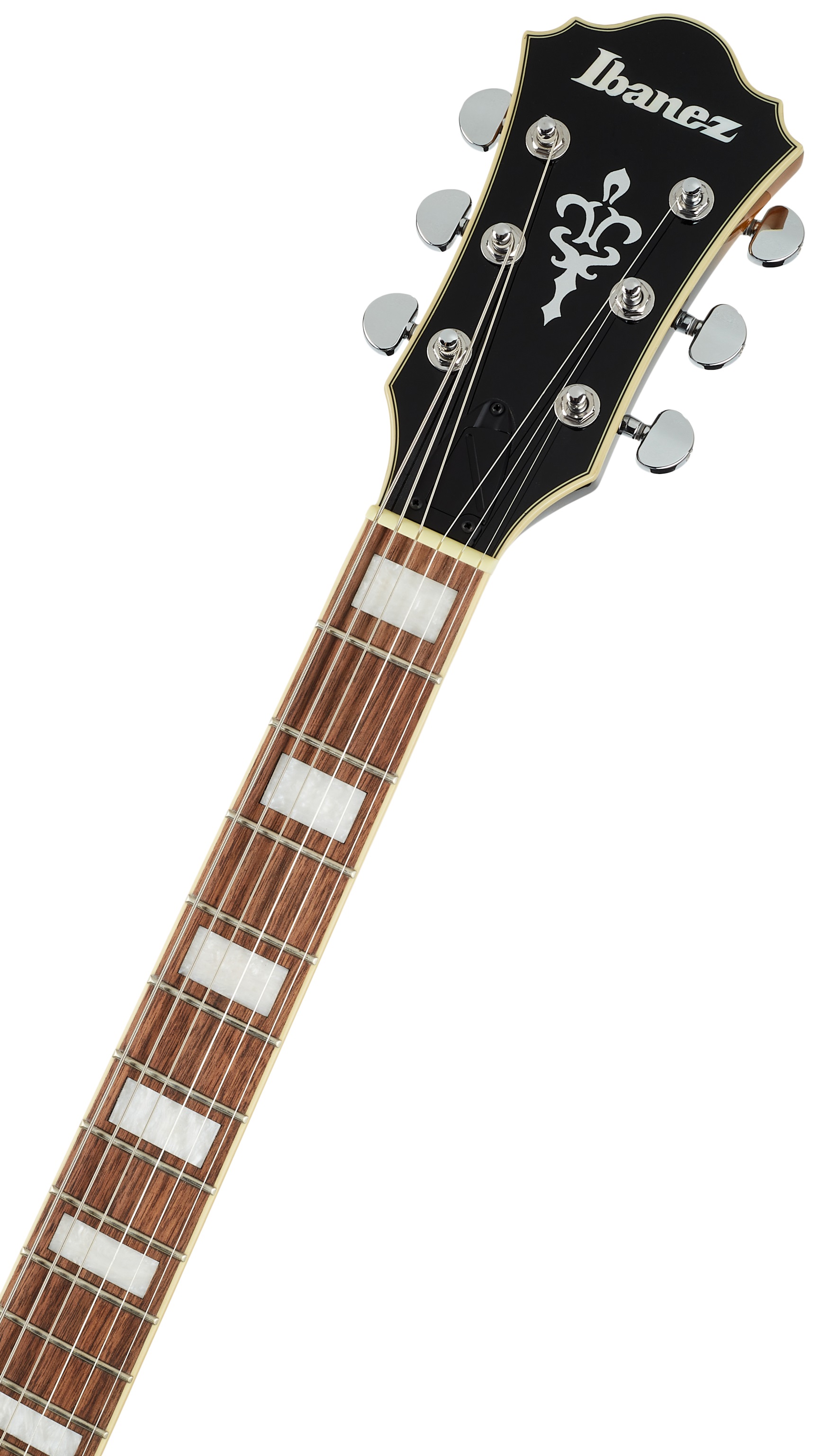Ibanez AS73 Tobacco Brown (obrázek 4)