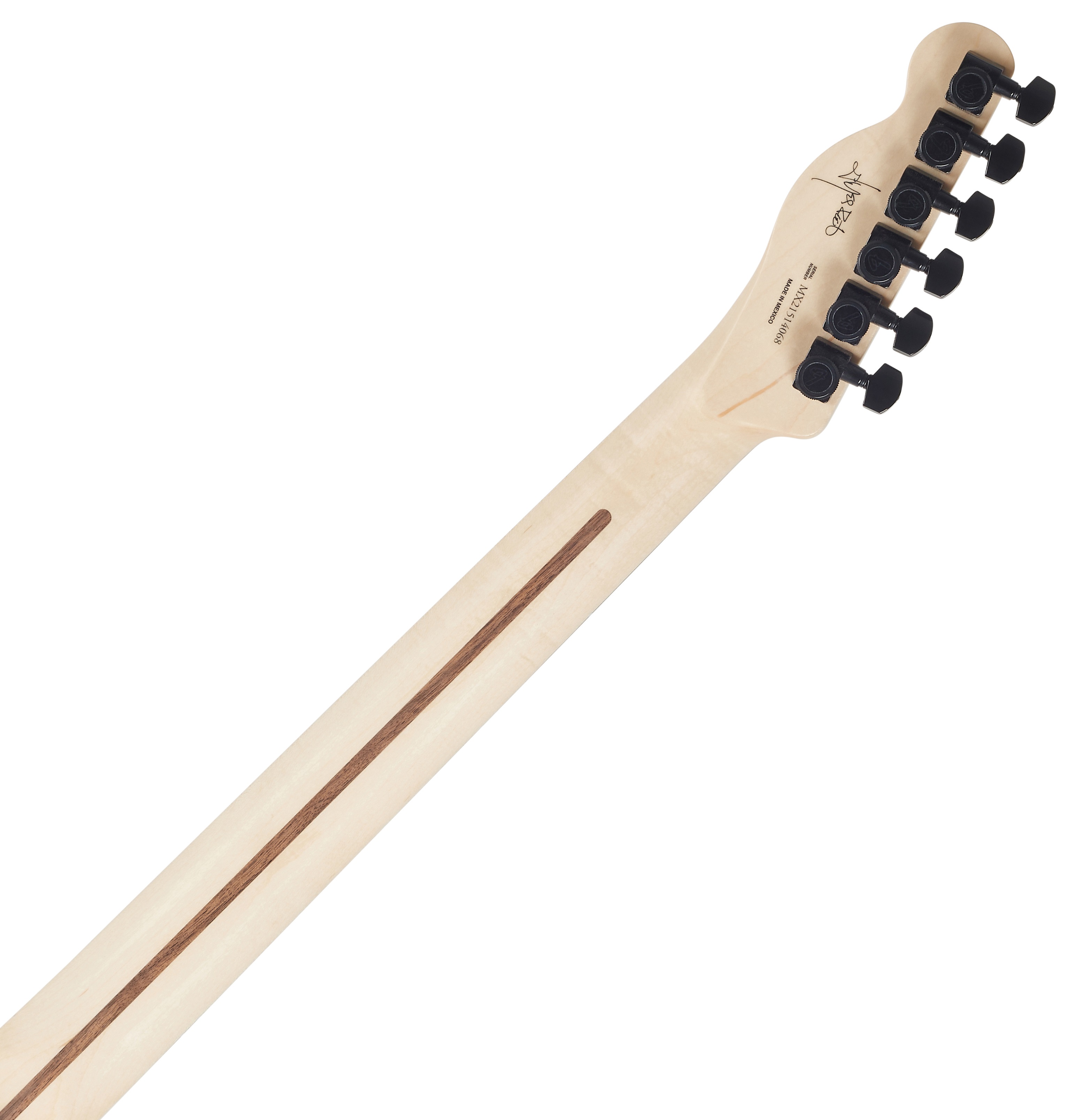 Fender Jim Root Telecaster EB FW (obrázek 5)