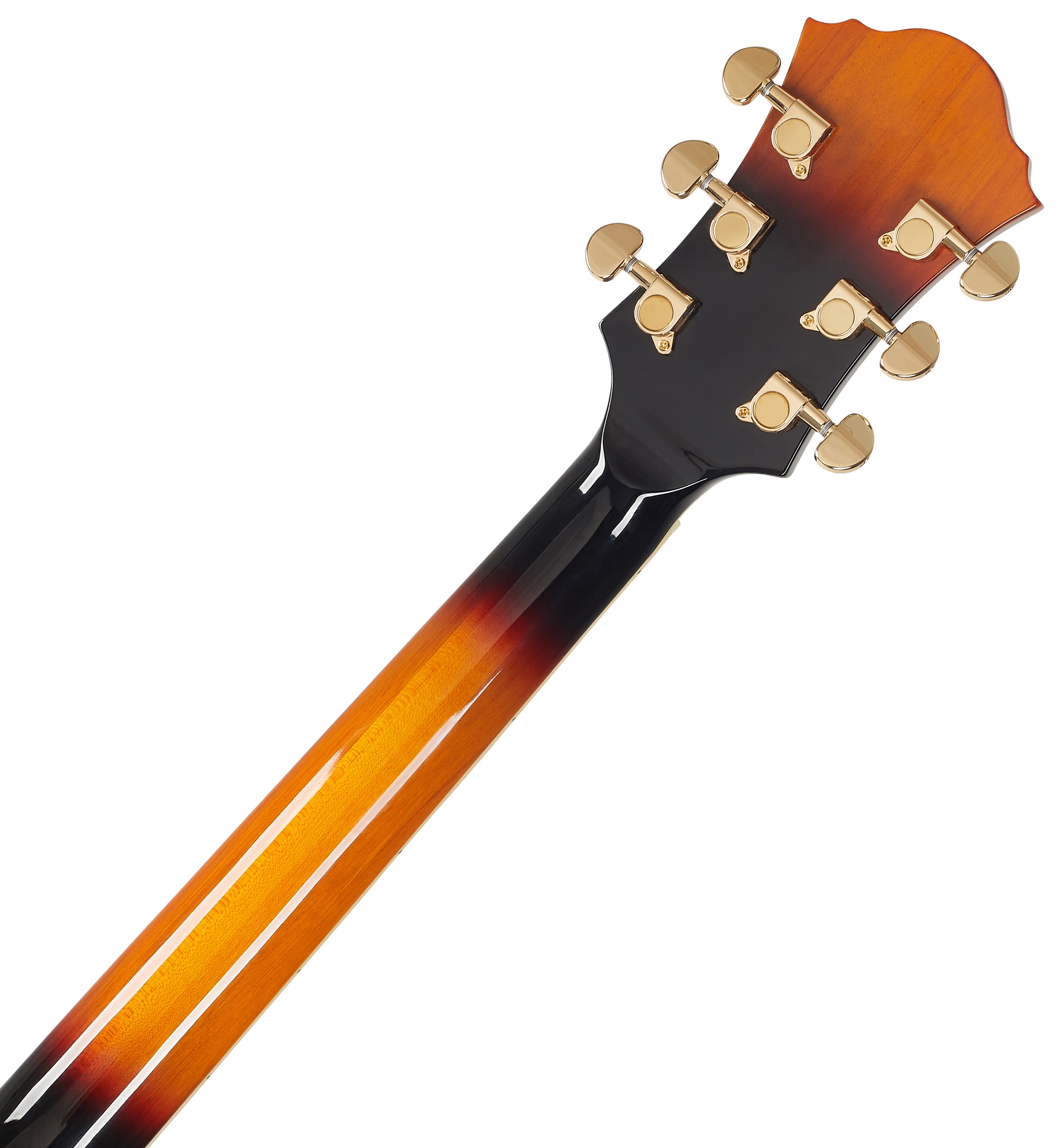 Ibanez AF95 Brown Sunburst (obrázek 5)