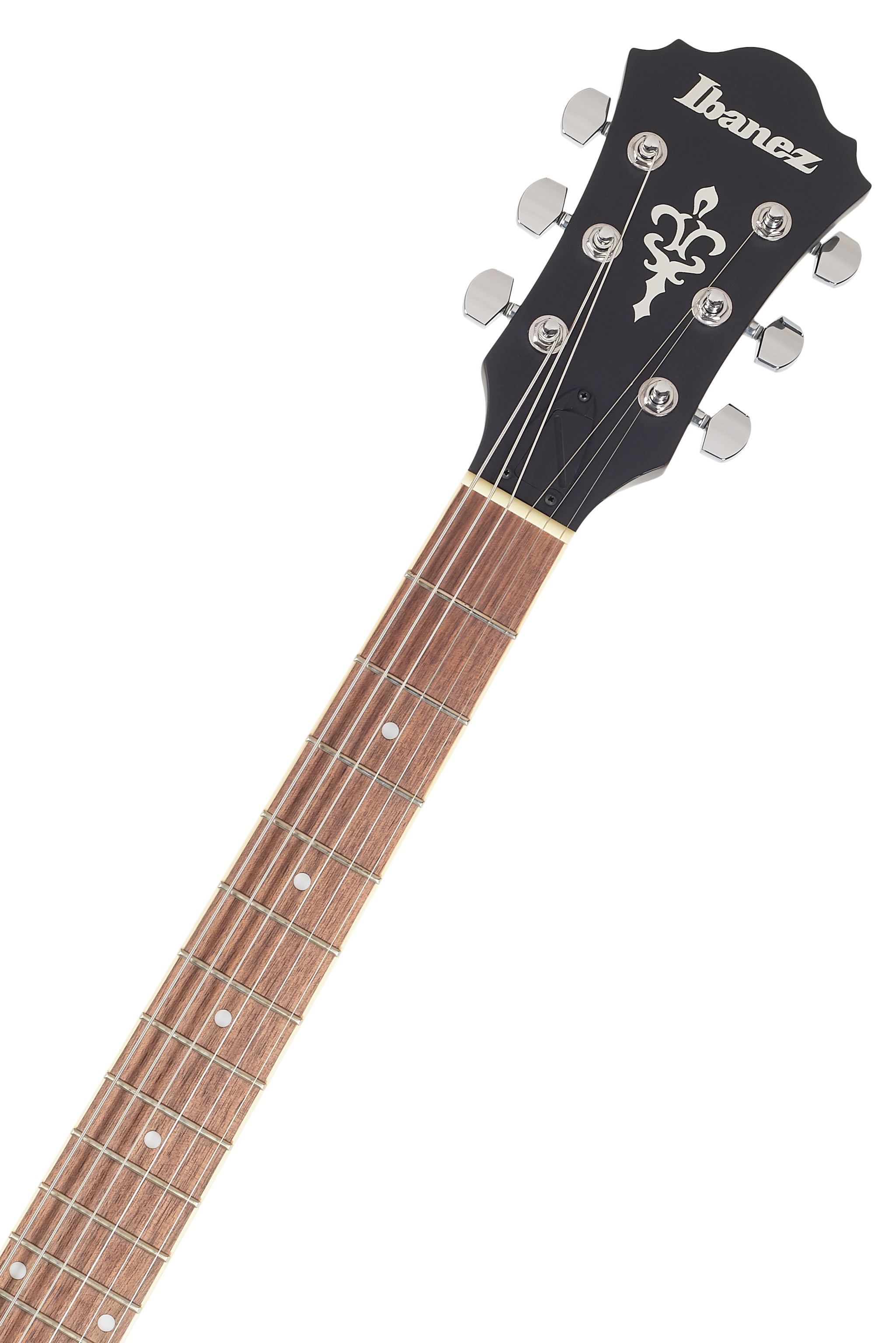 Ibanez AS53 Transparent Black (obrázek 4)