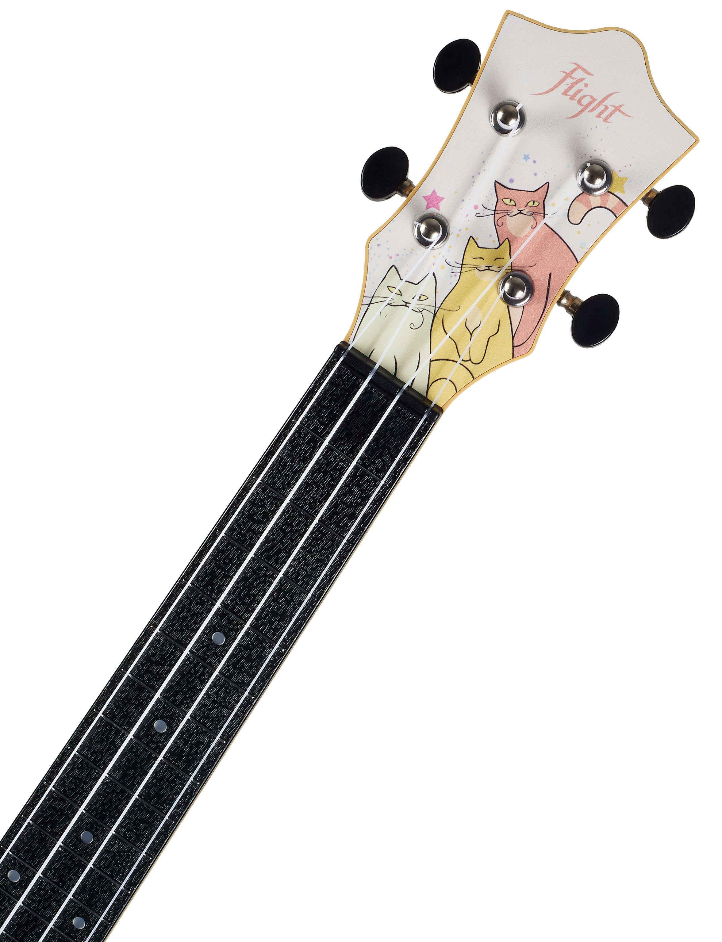 Flight TUC-Kitty (obrázek 4)