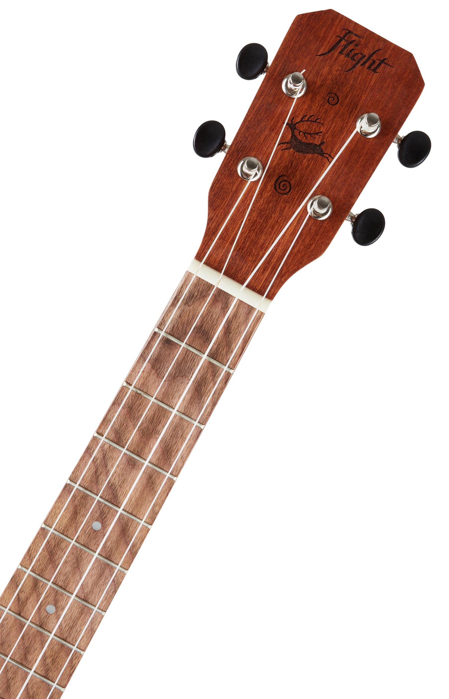 Flight NUB310 (obrázek 4)