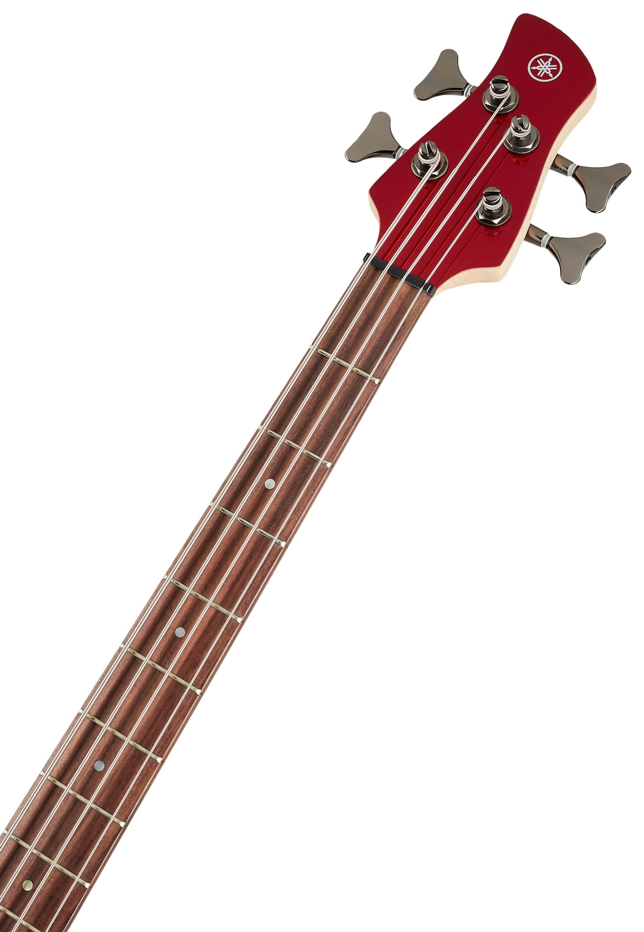 Yamaha TRBX304 CAR (obrázek 4)