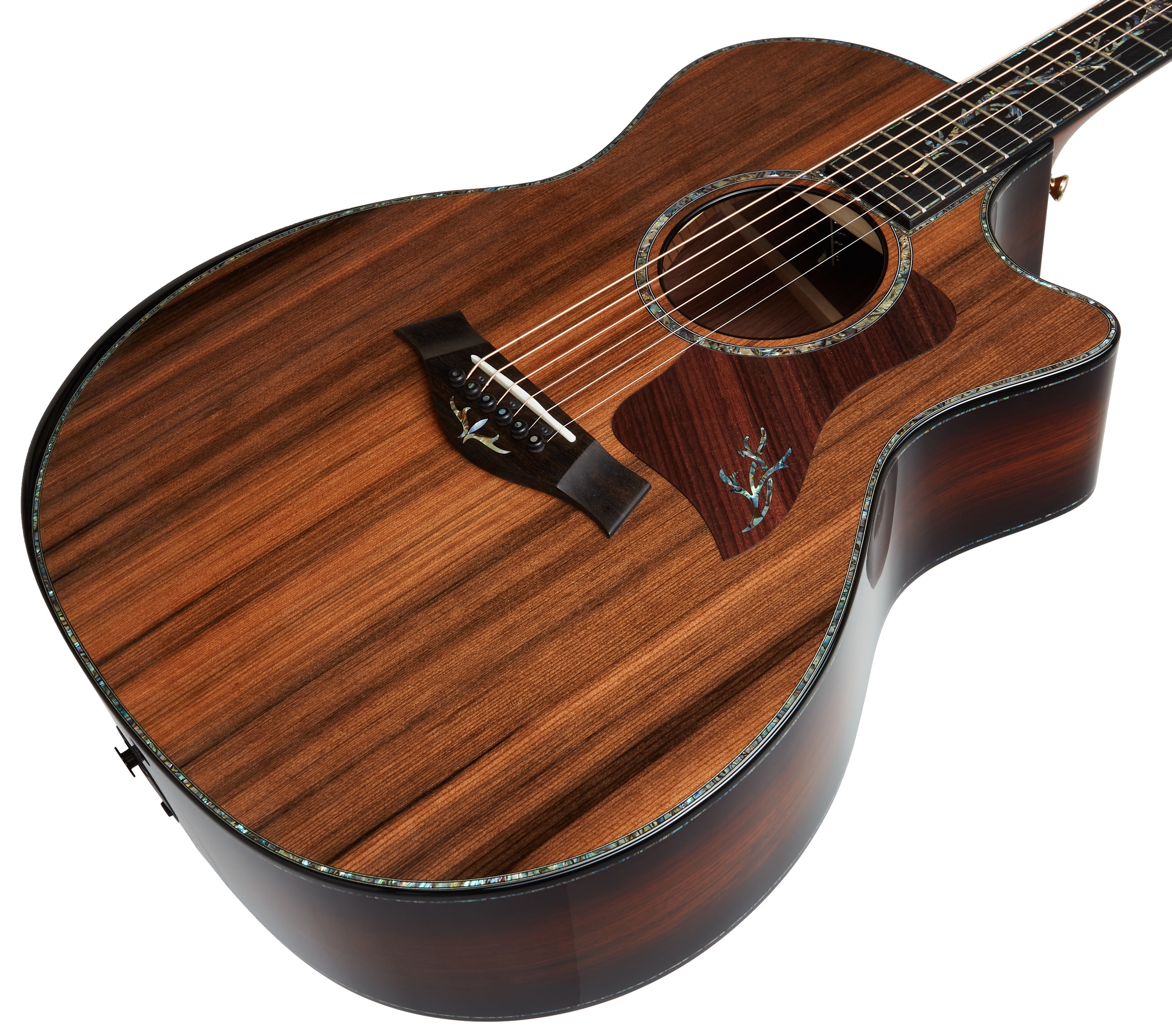 Taylor PS14ce (obrázek 3)