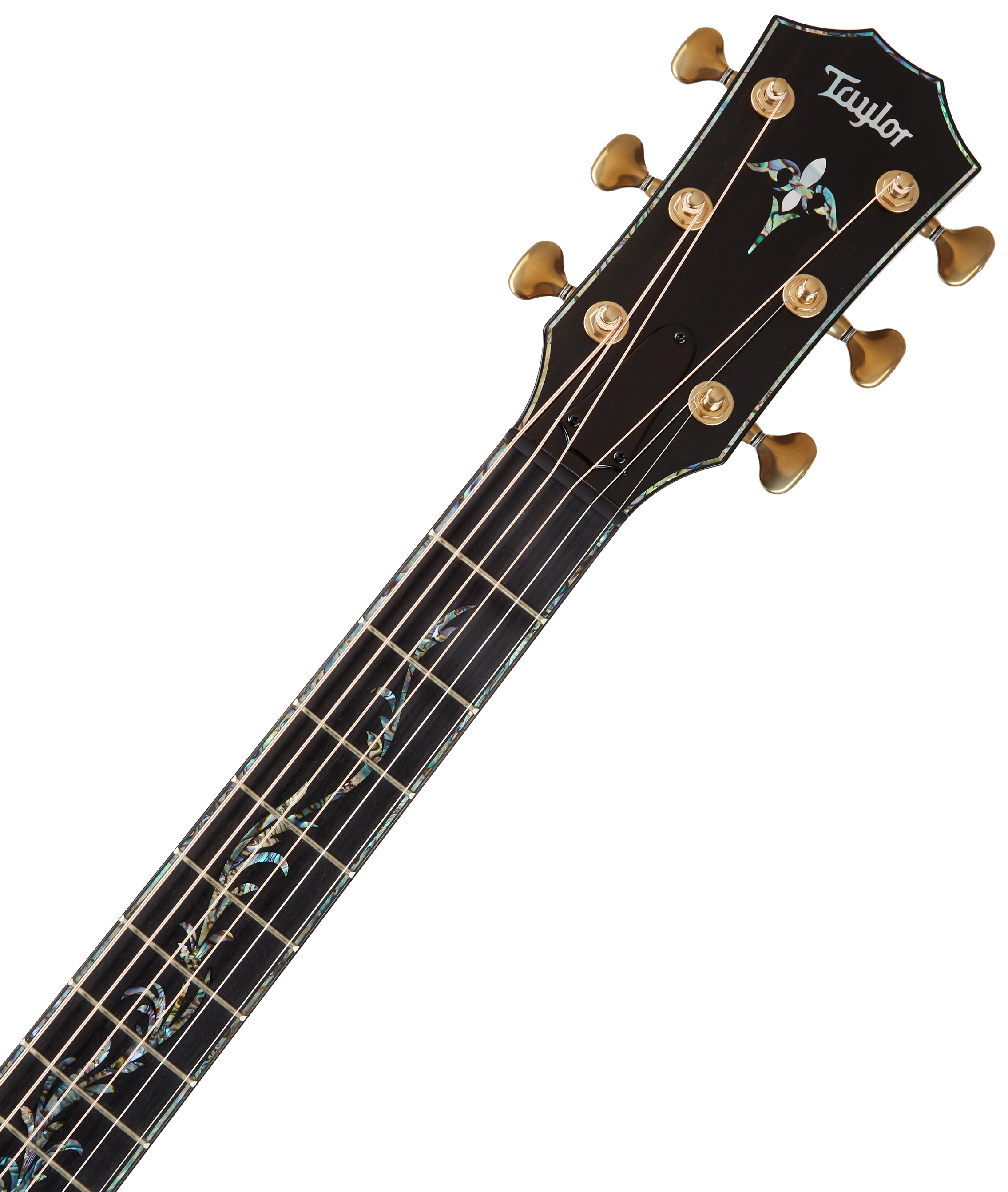 Taylor PS14ce (obrázek 5)