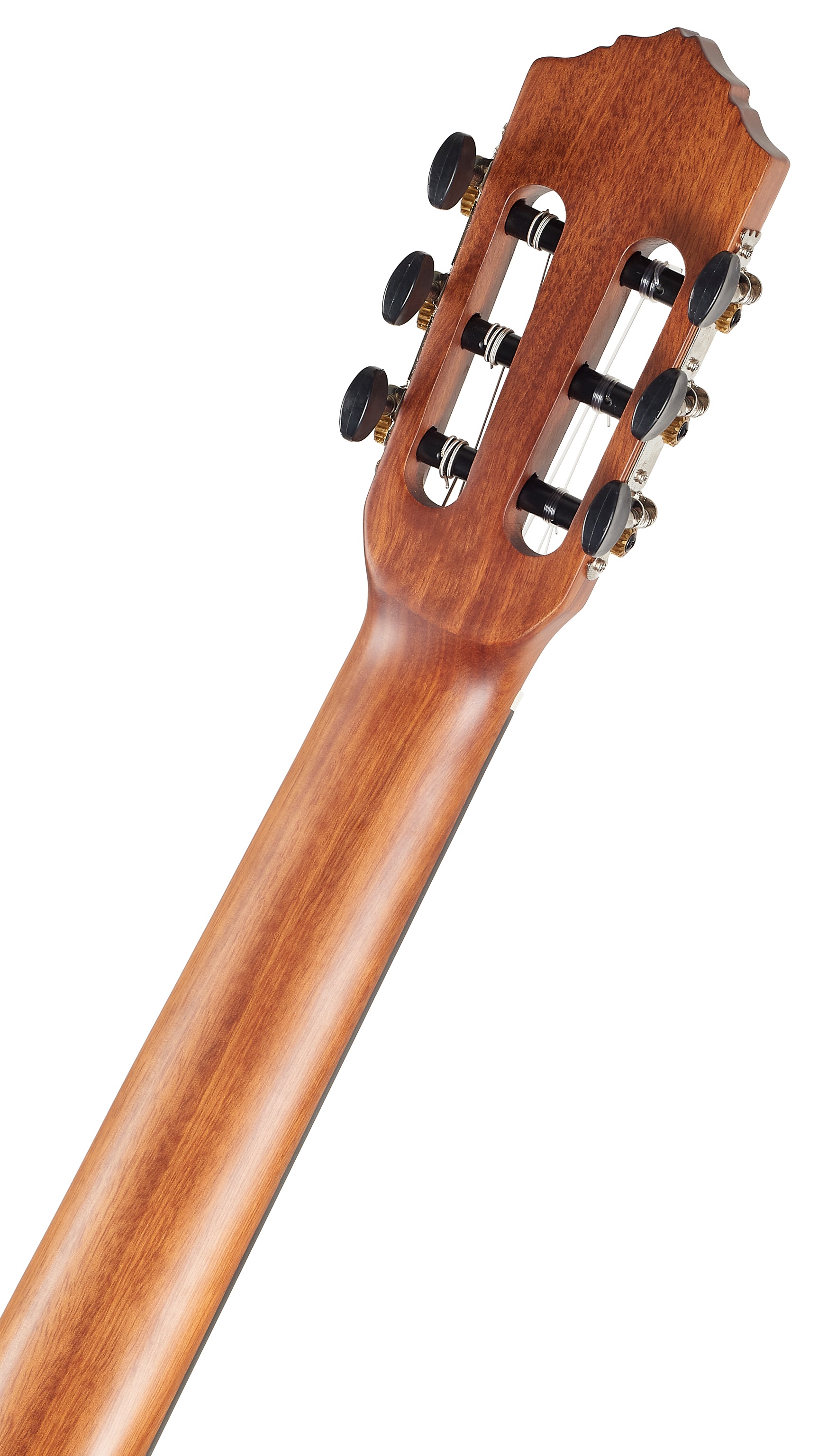 Ortega RSTC5M-L (obrázek 5)