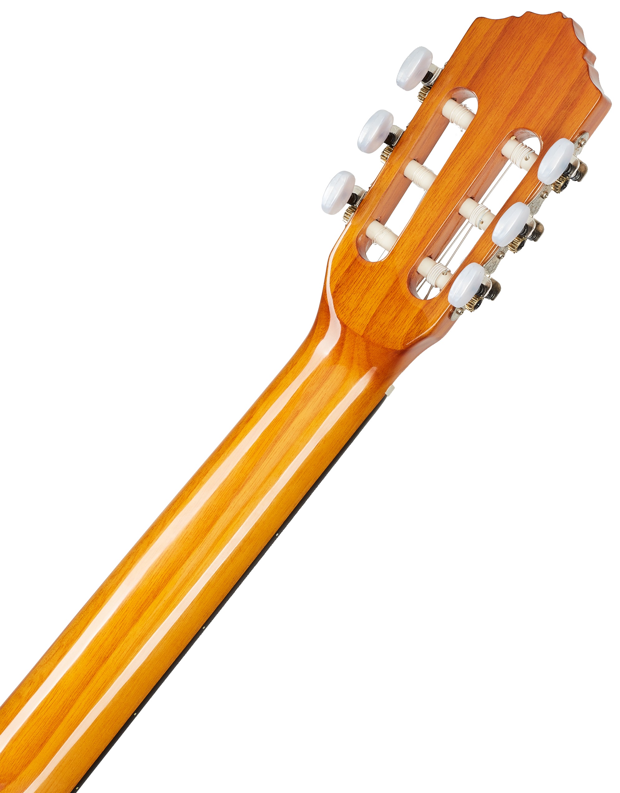 Ortega R121G (obrázek 5)