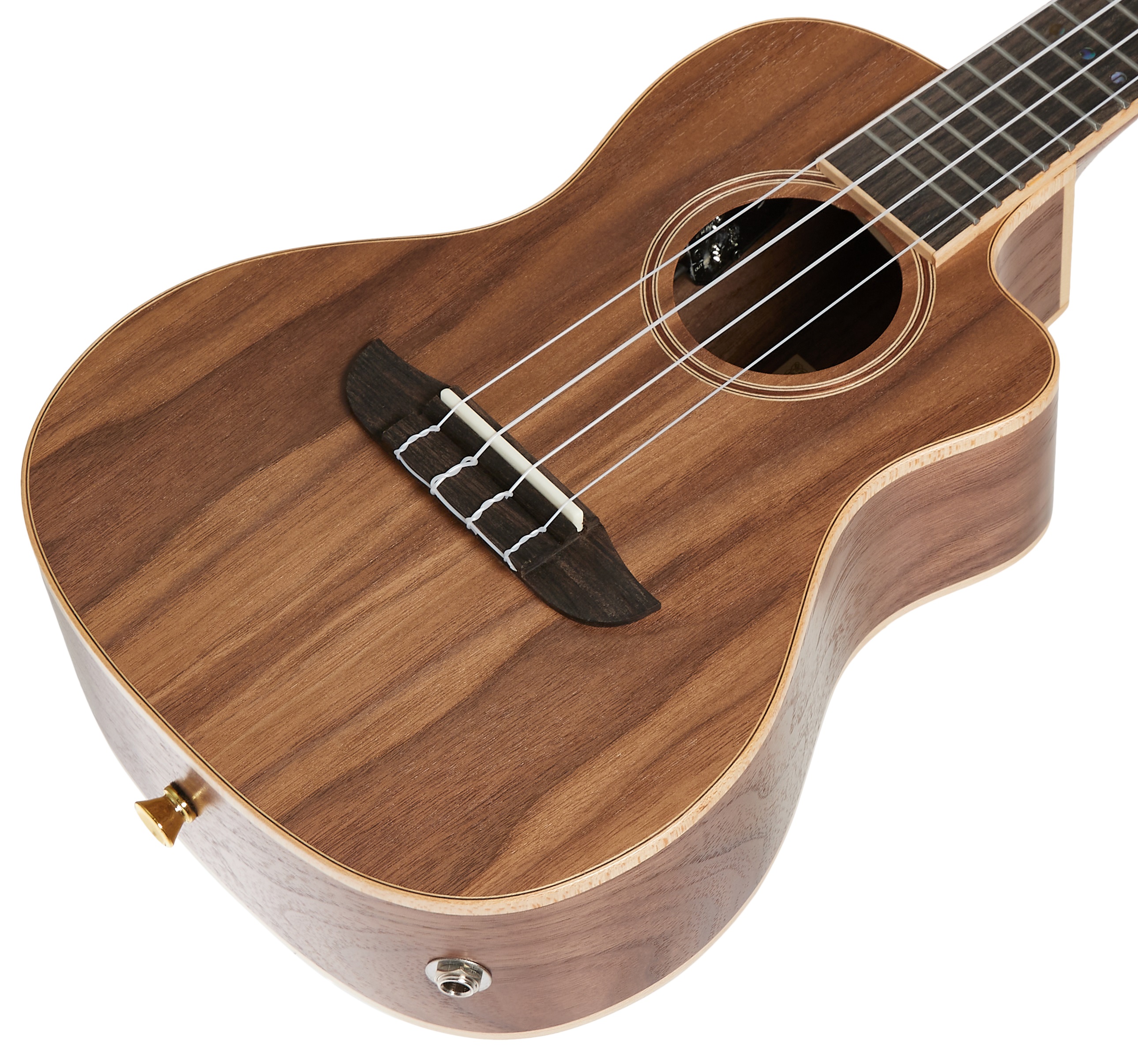 Ortega RUWN-CE (obrázek 3)