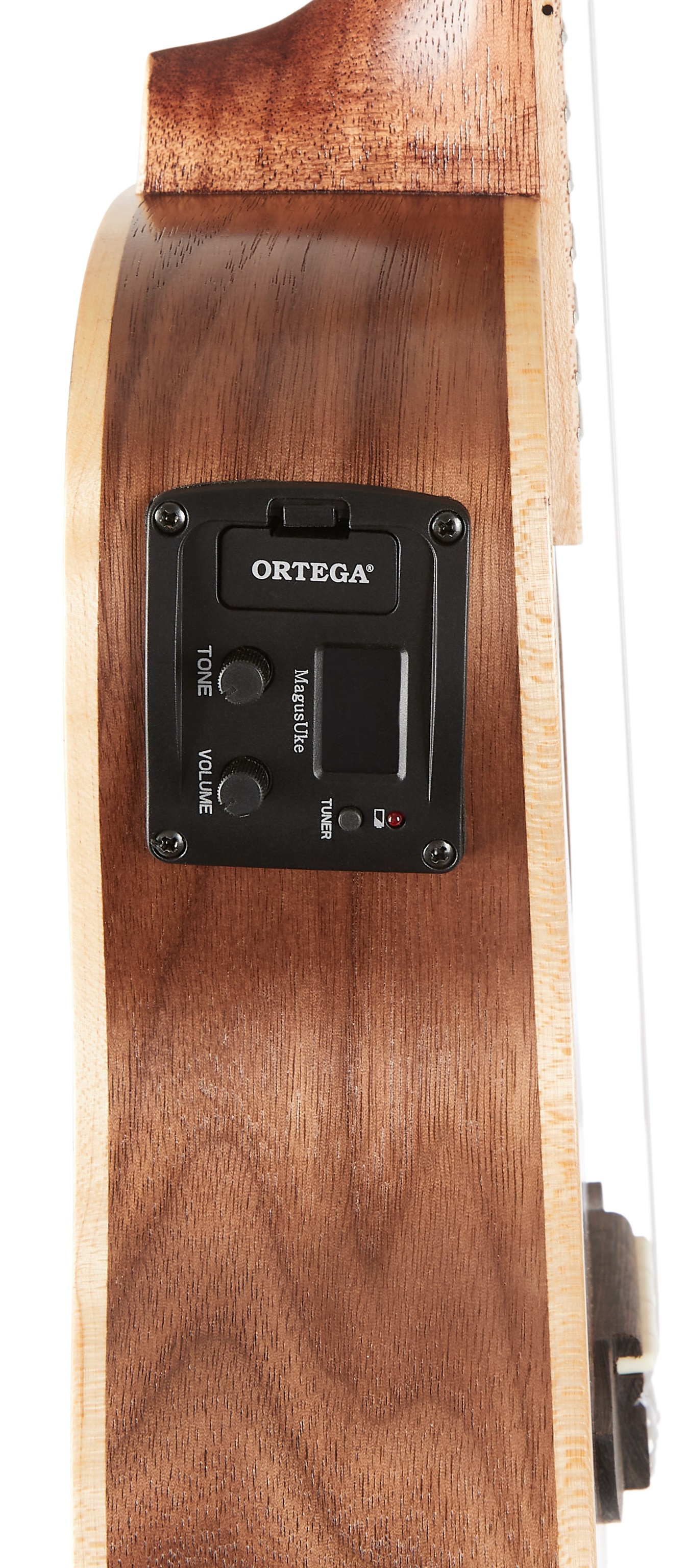 Ortega RUWN-CE (obrázek 4)