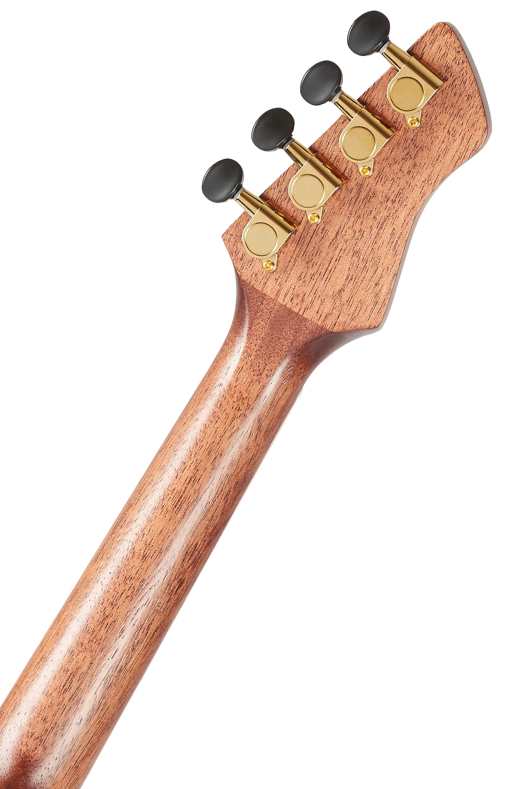 Ortega RUWN-CE (obrázek 6)