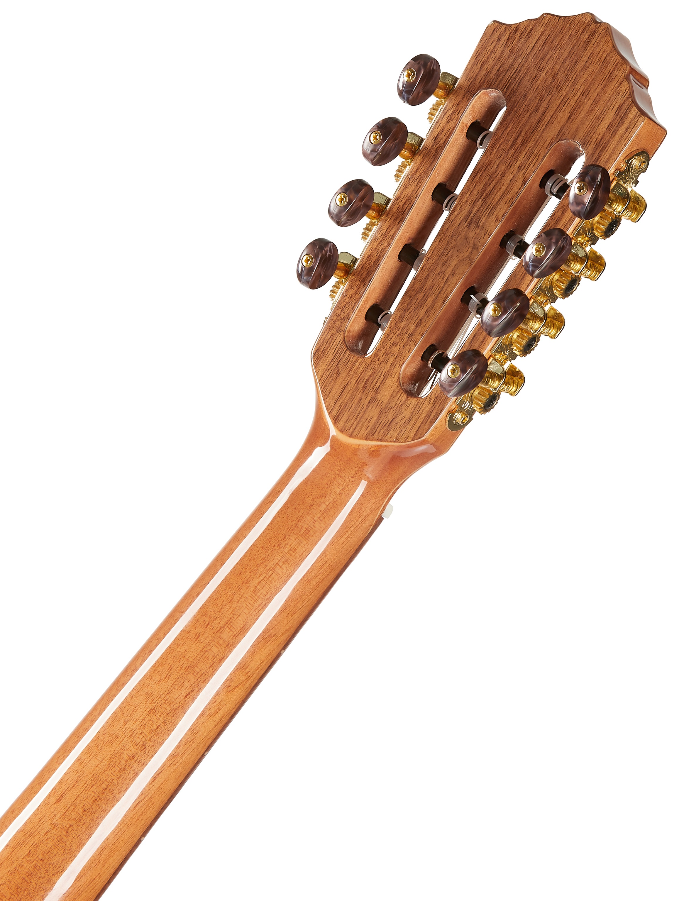 Ortega ECLIPSE-TE8 (obrázek 5)