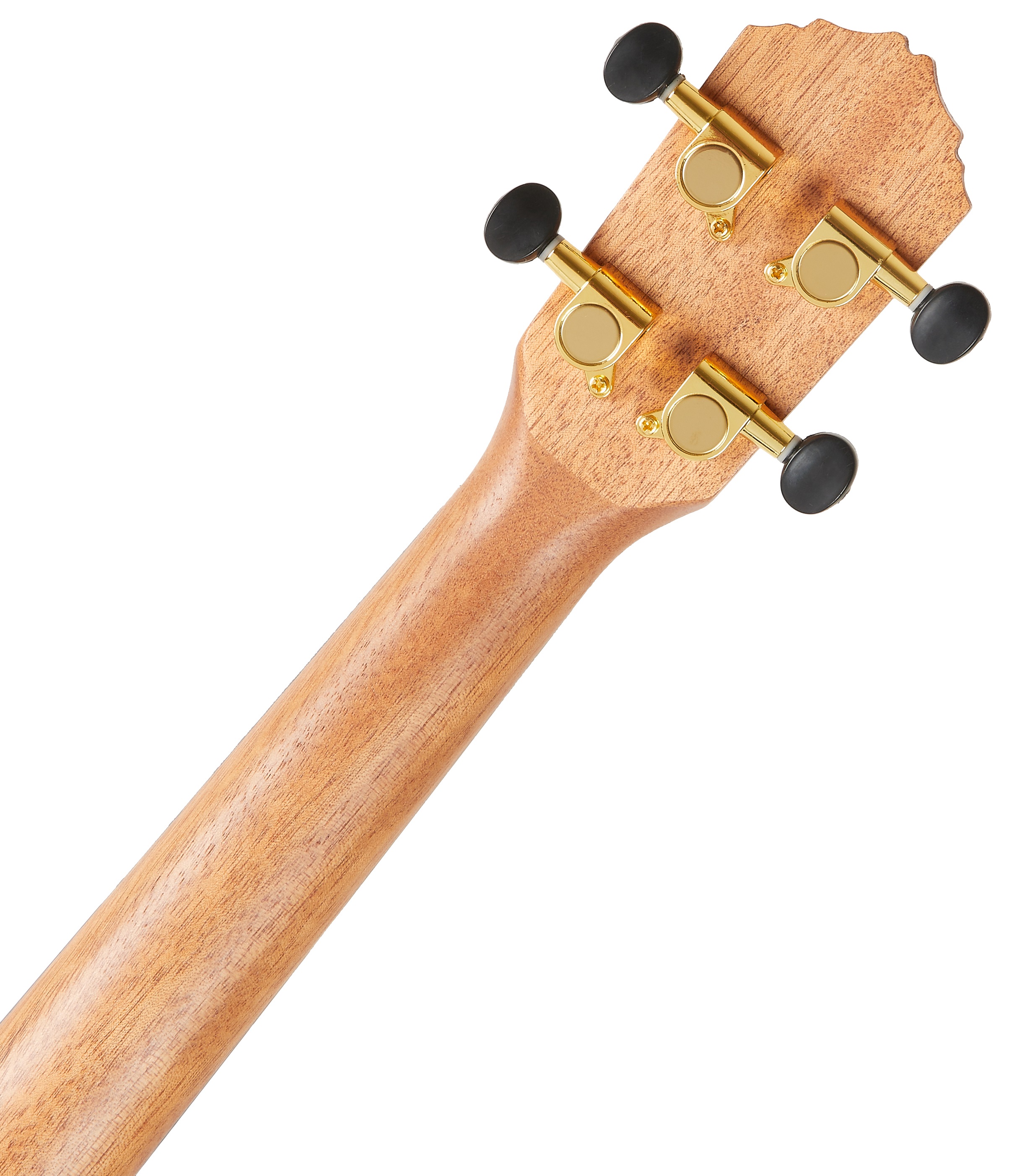 Ortega RUEB-CC-L (obrázek 5)