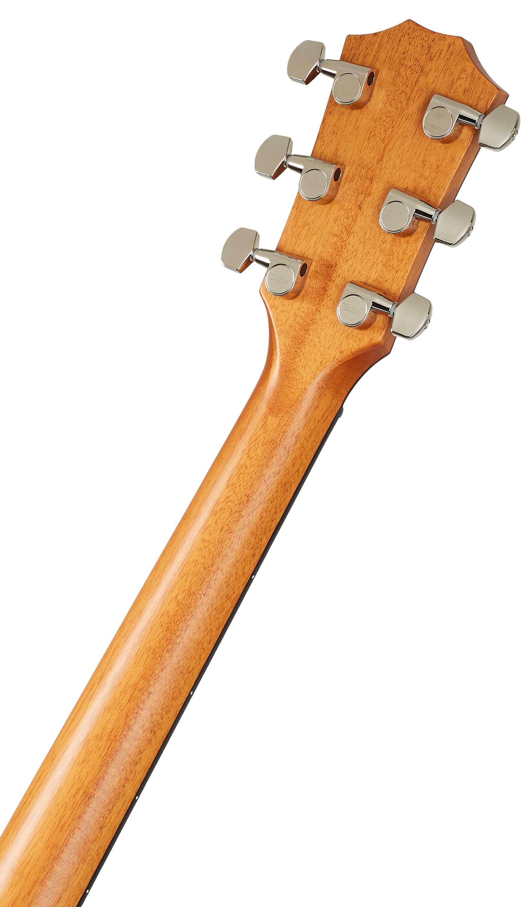 Taylor 414ce-R V-Class Bracing (obrázek 6)