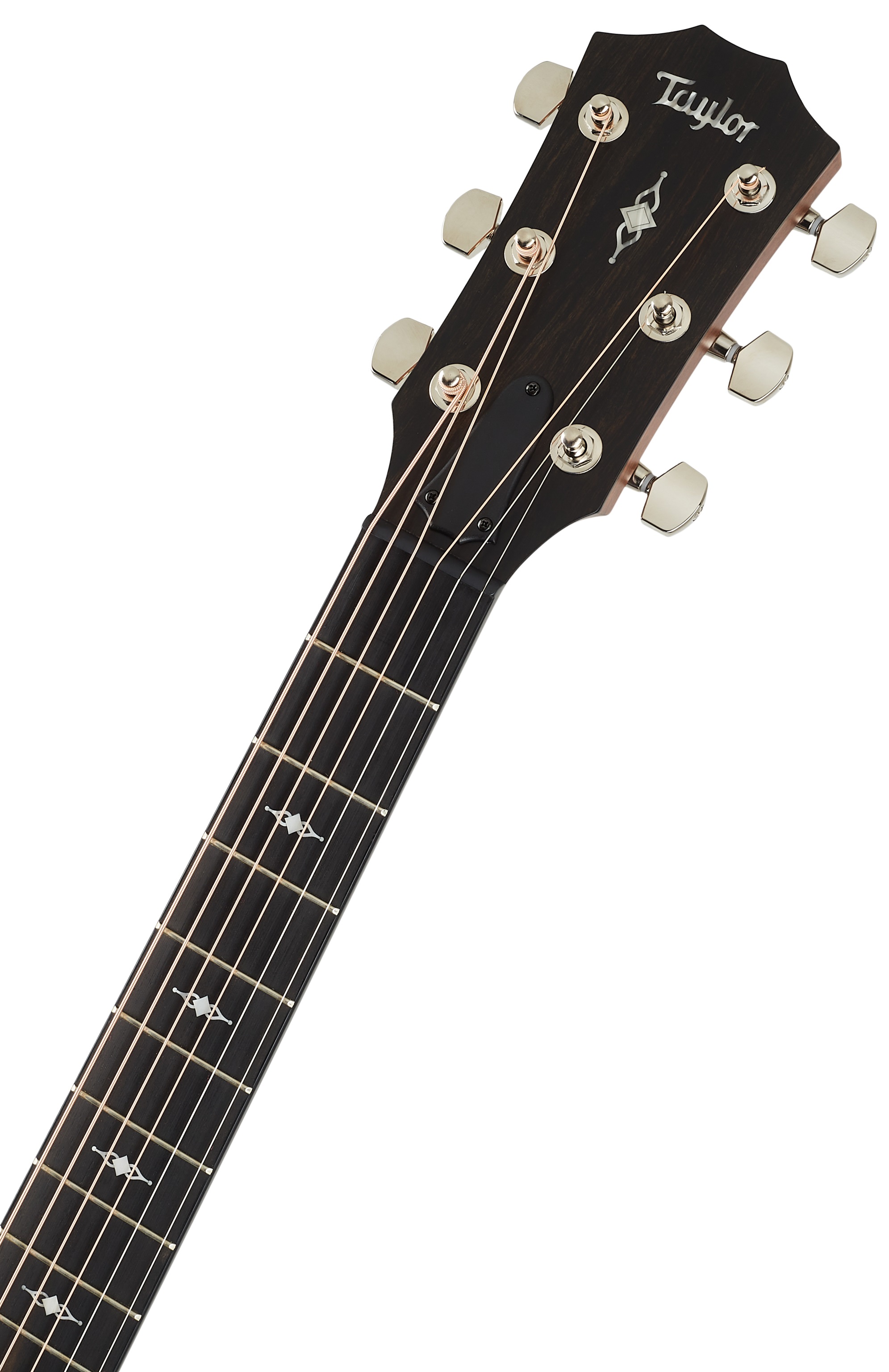 Taylor 312ce (obrázek 5)