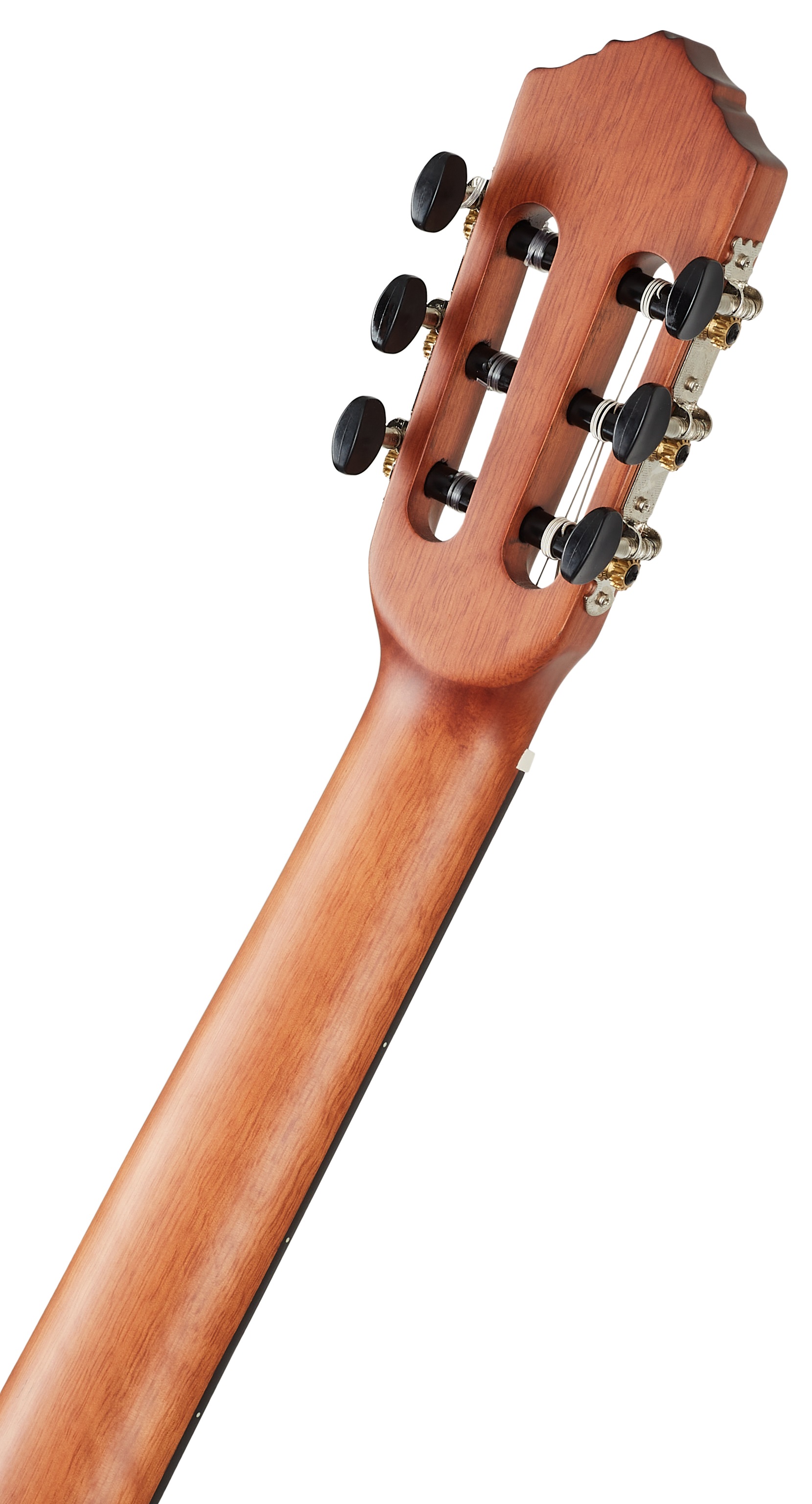 Ortega RSTC5M (obrázek 5)