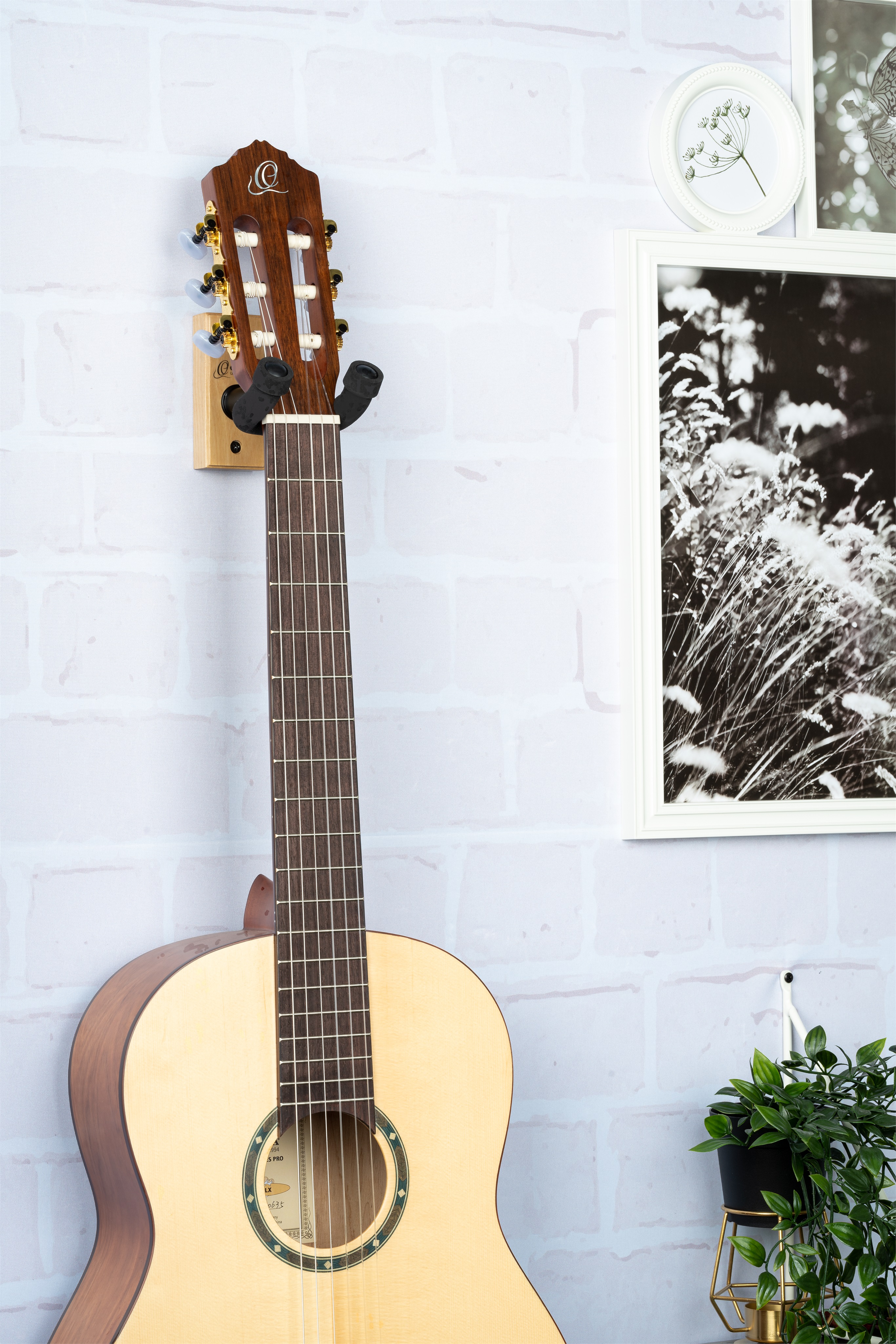 Ortega OGH-1NT (obrázek 4)