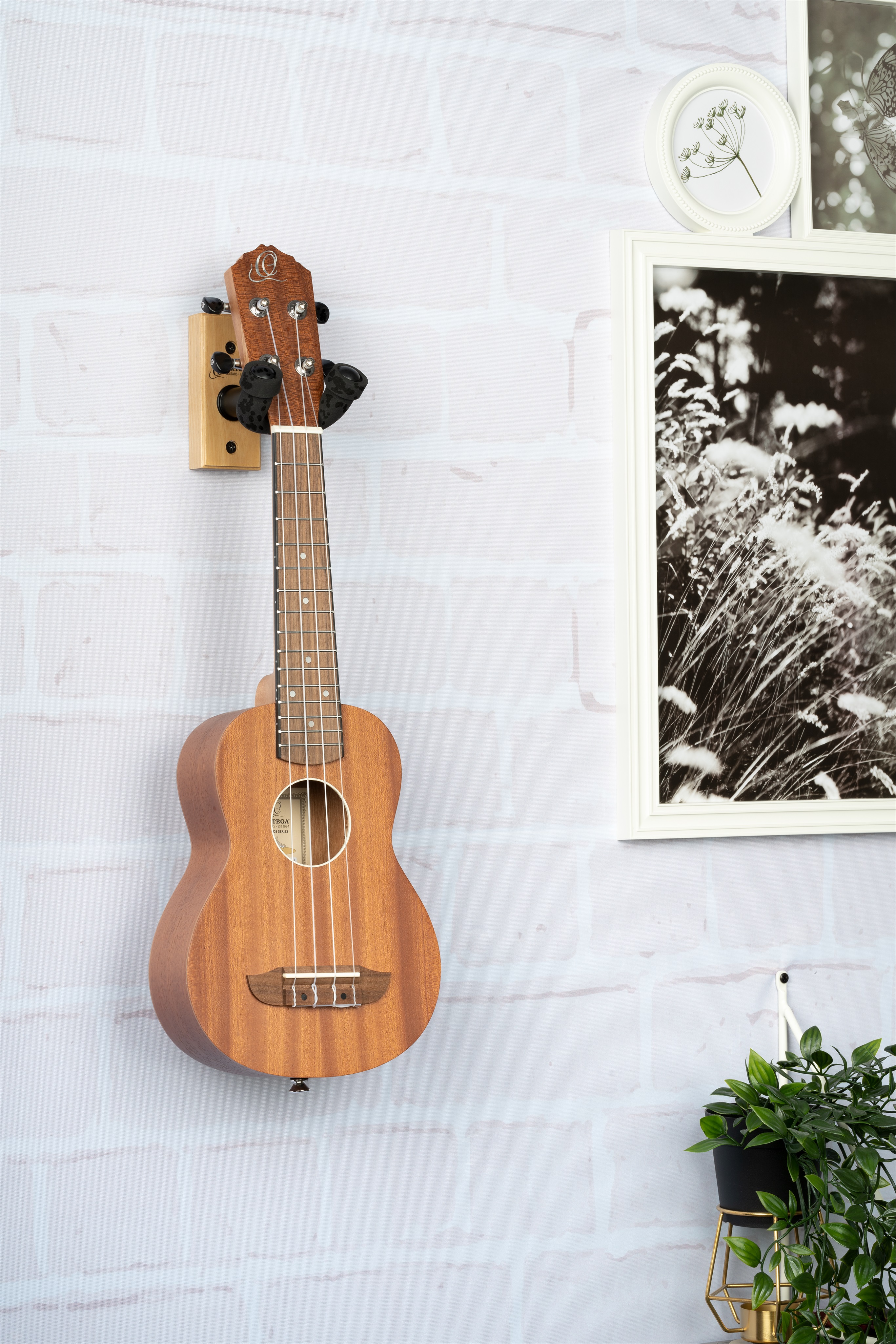 Ortega OUH-1NT (obrázek 3)